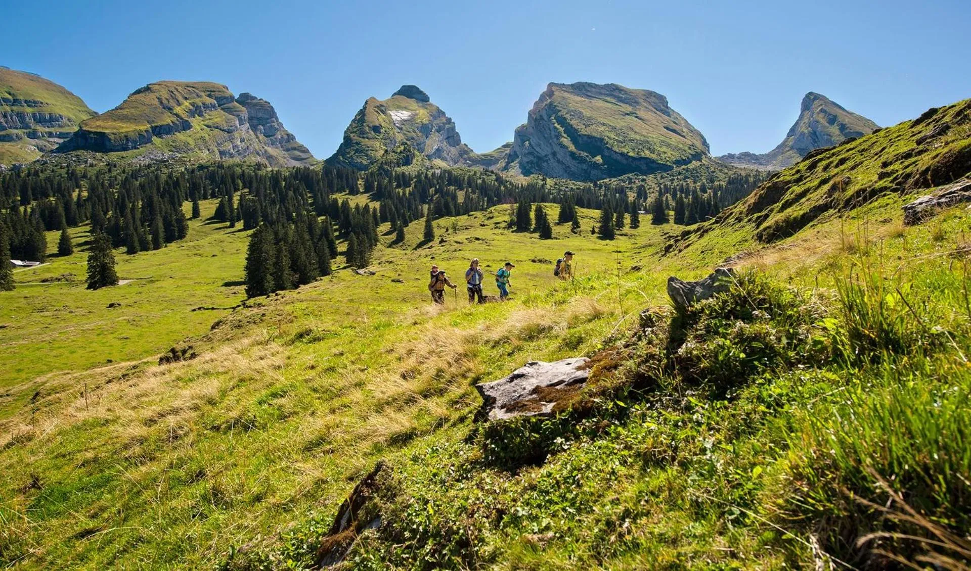 Hiking in Hotel Sonne