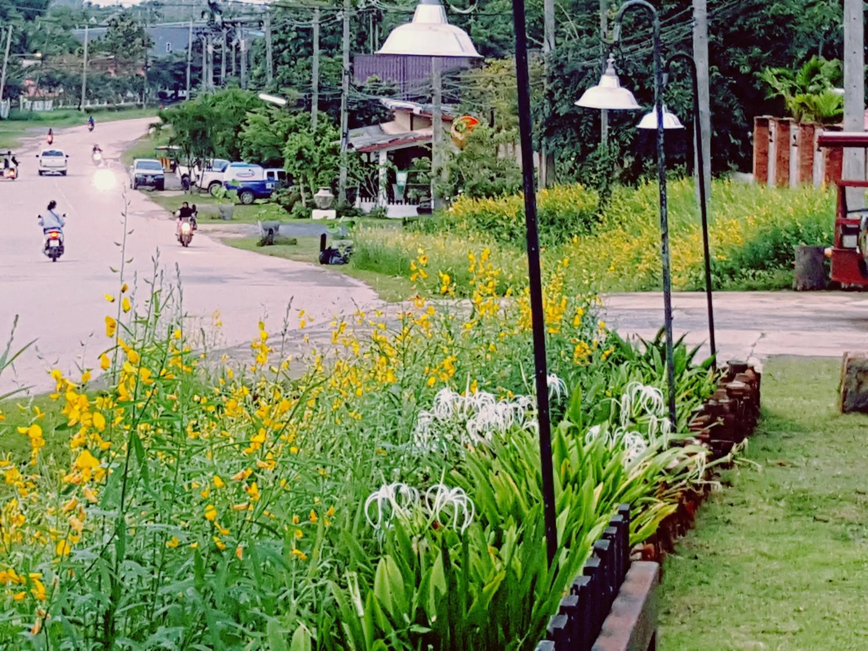 Street view in Tropicana Lanta Resort