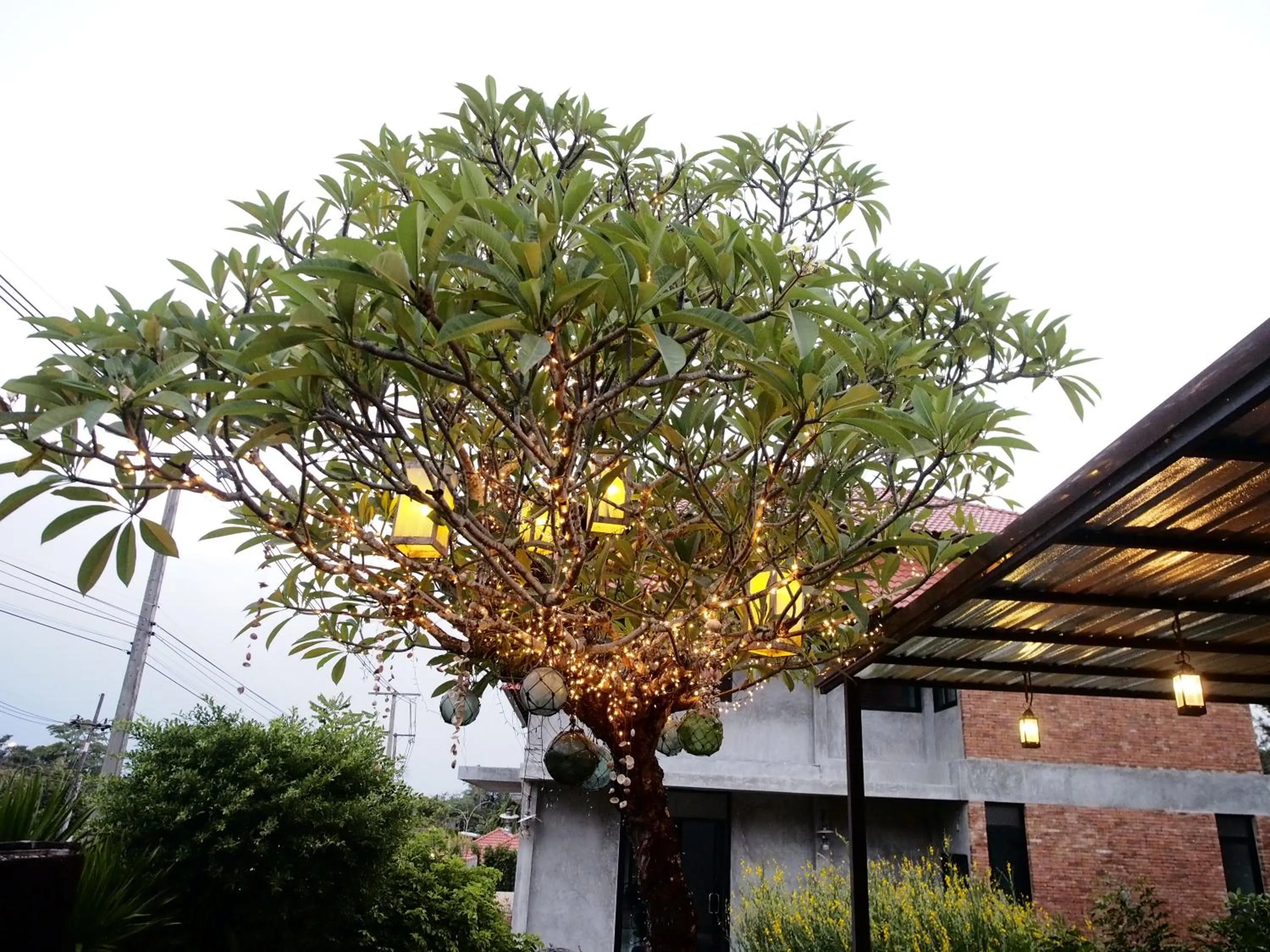 Natural landscape in Tropicana Lanta Resort