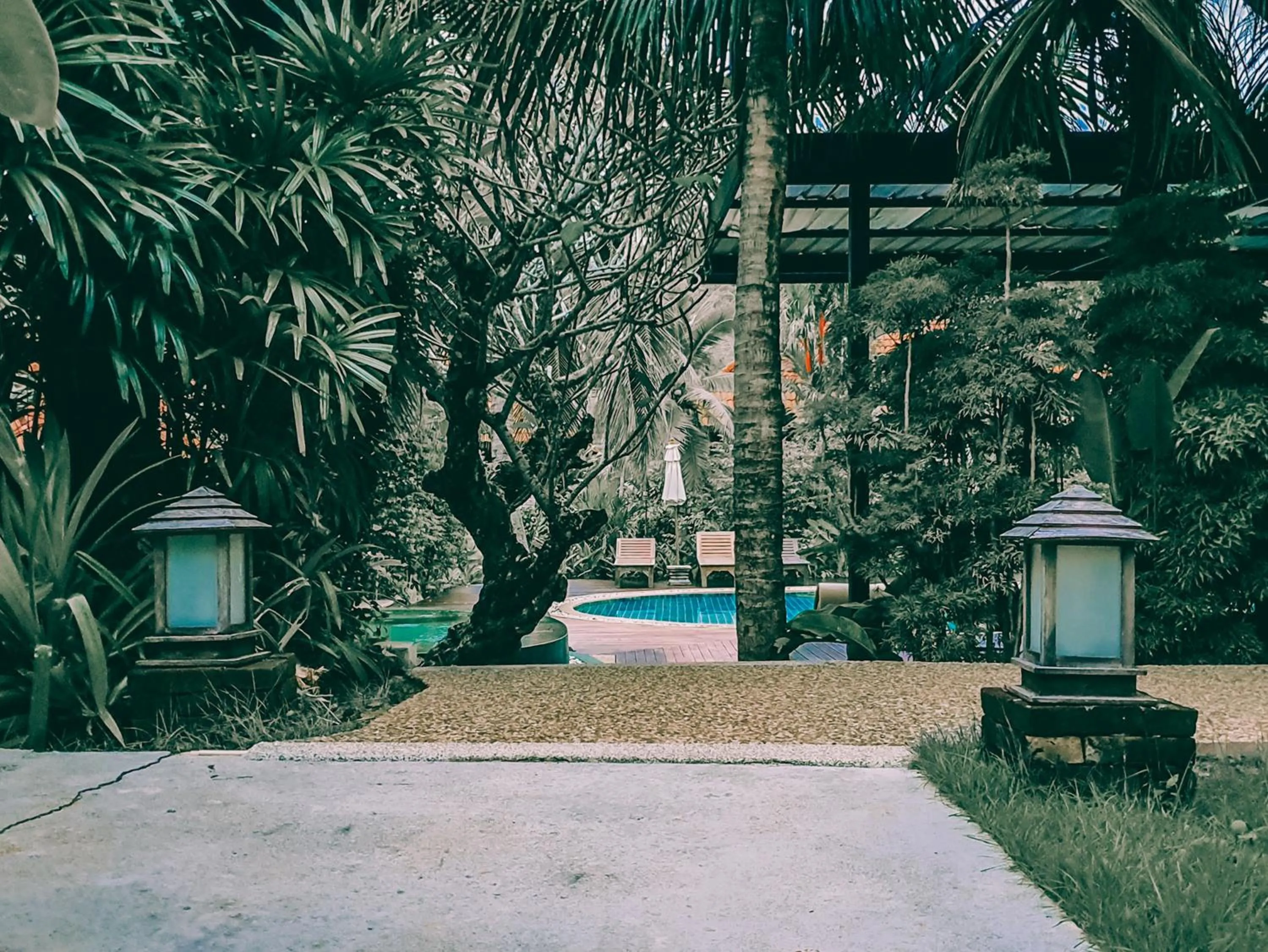 Pool view in Tropicana Lanta Resort