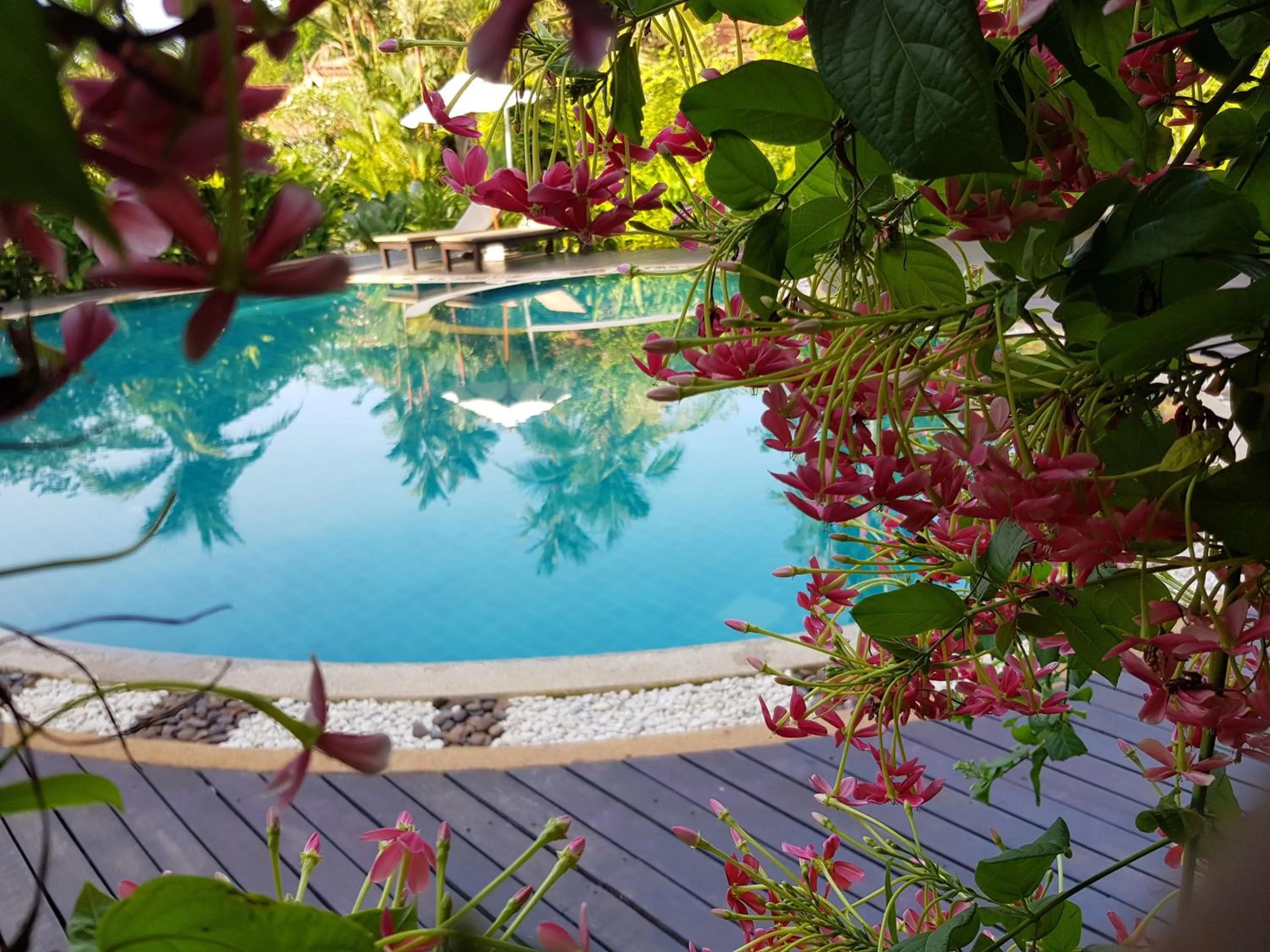 Swimming pool in Tropicana Lanta Resort