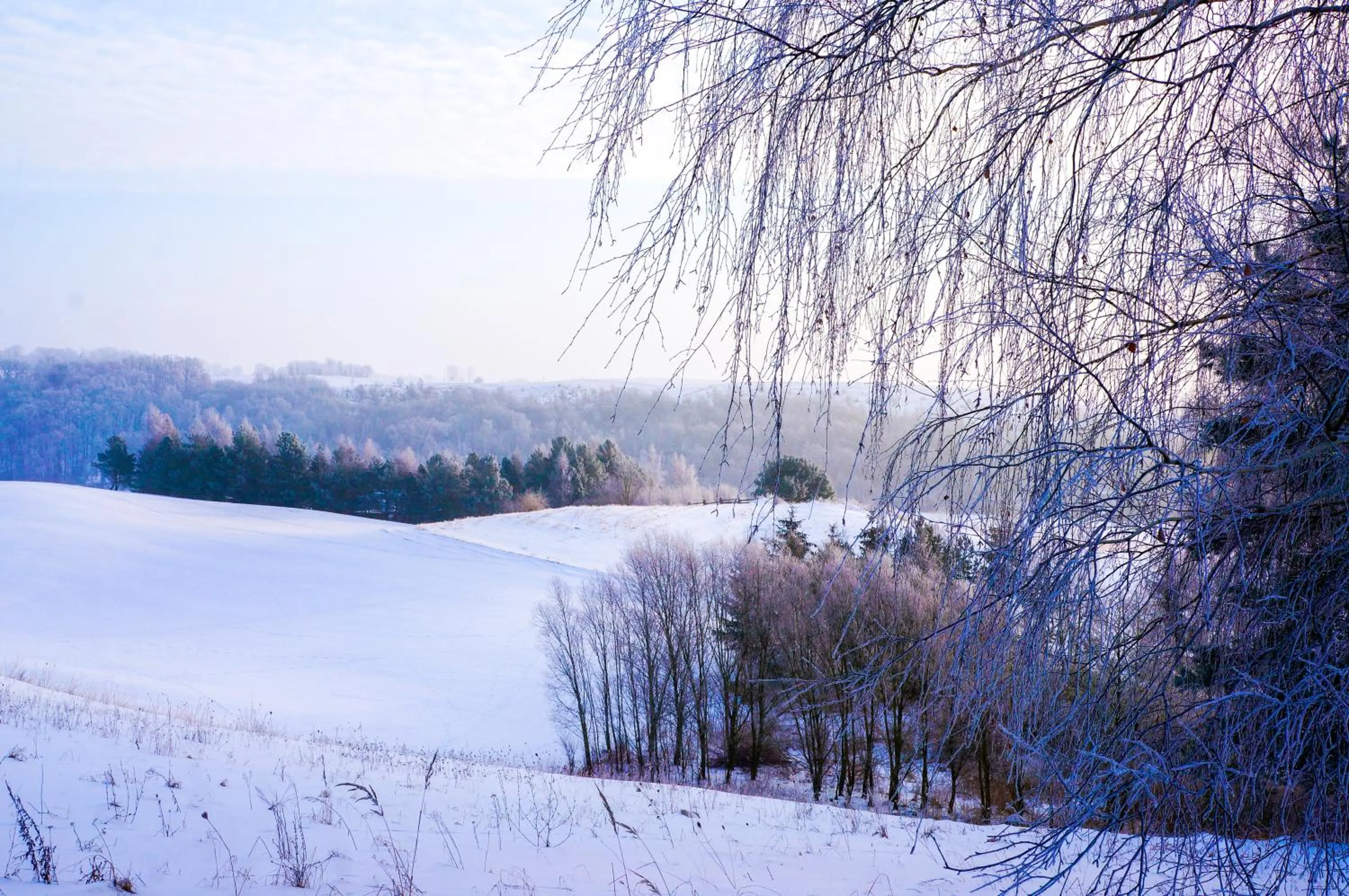 Natural landscape in Hotel Głęboczek Vine Resort& Spa