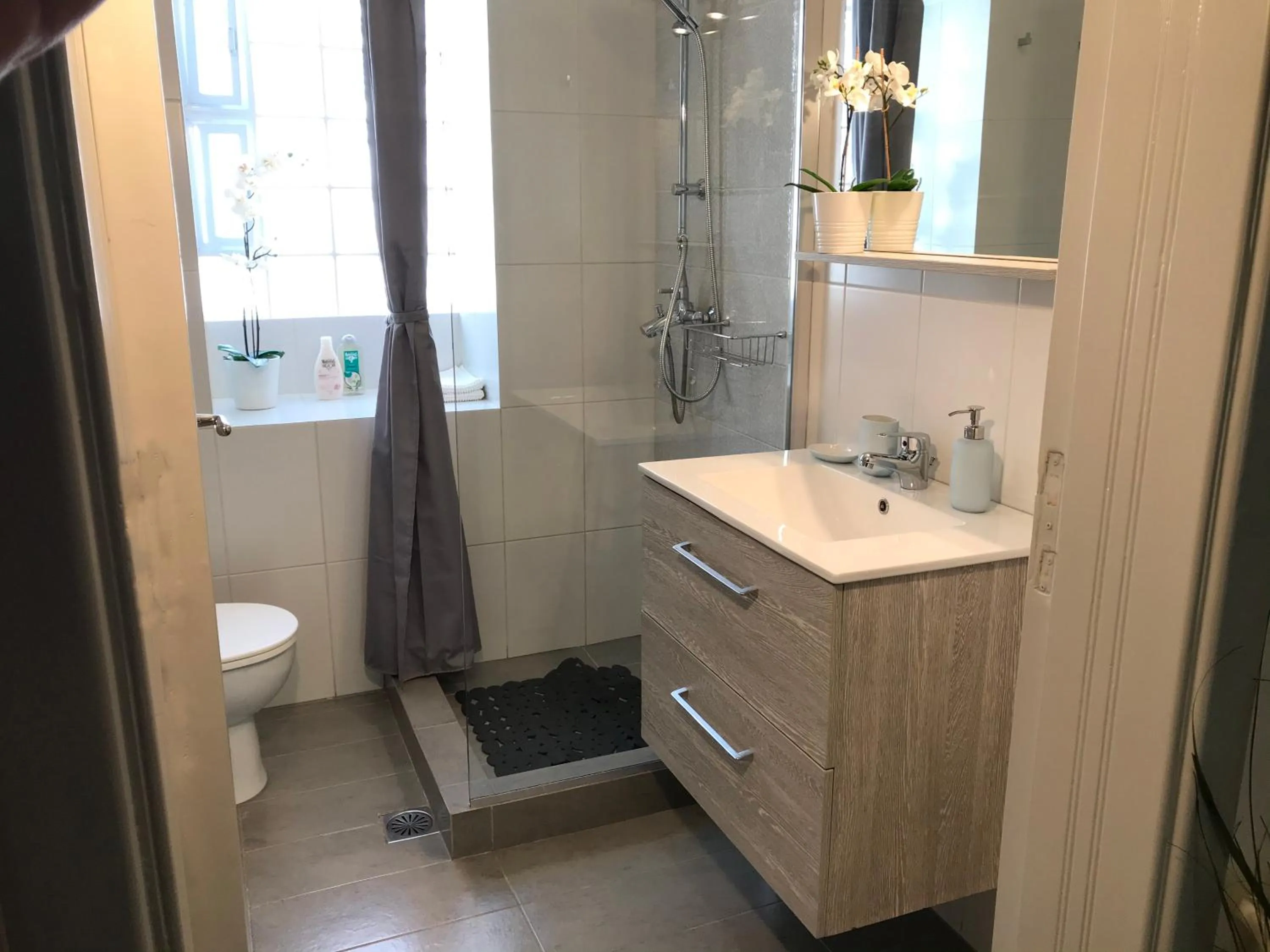 Toilet in Dina's House