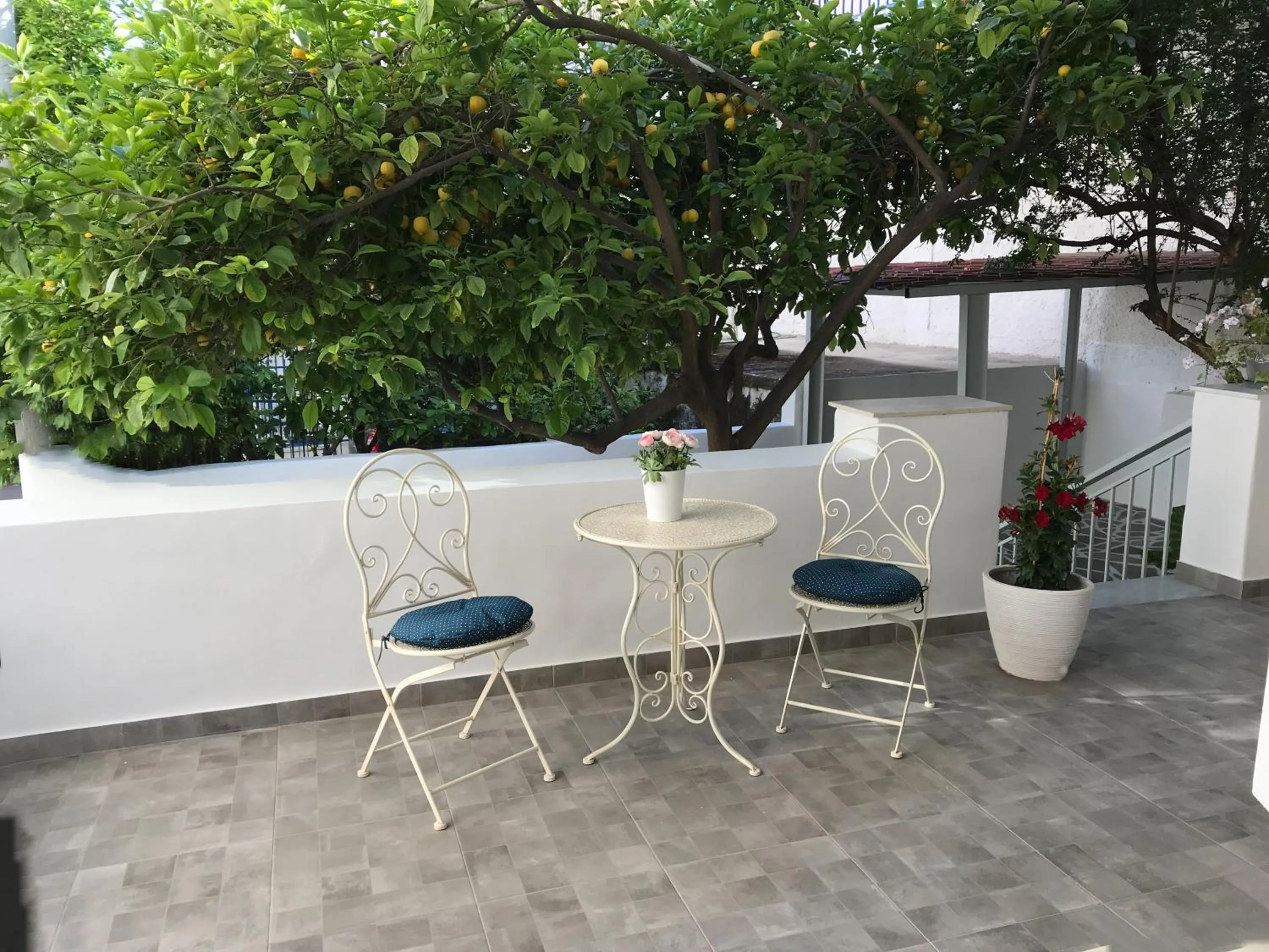 Balcony/Terrace in Dina's House