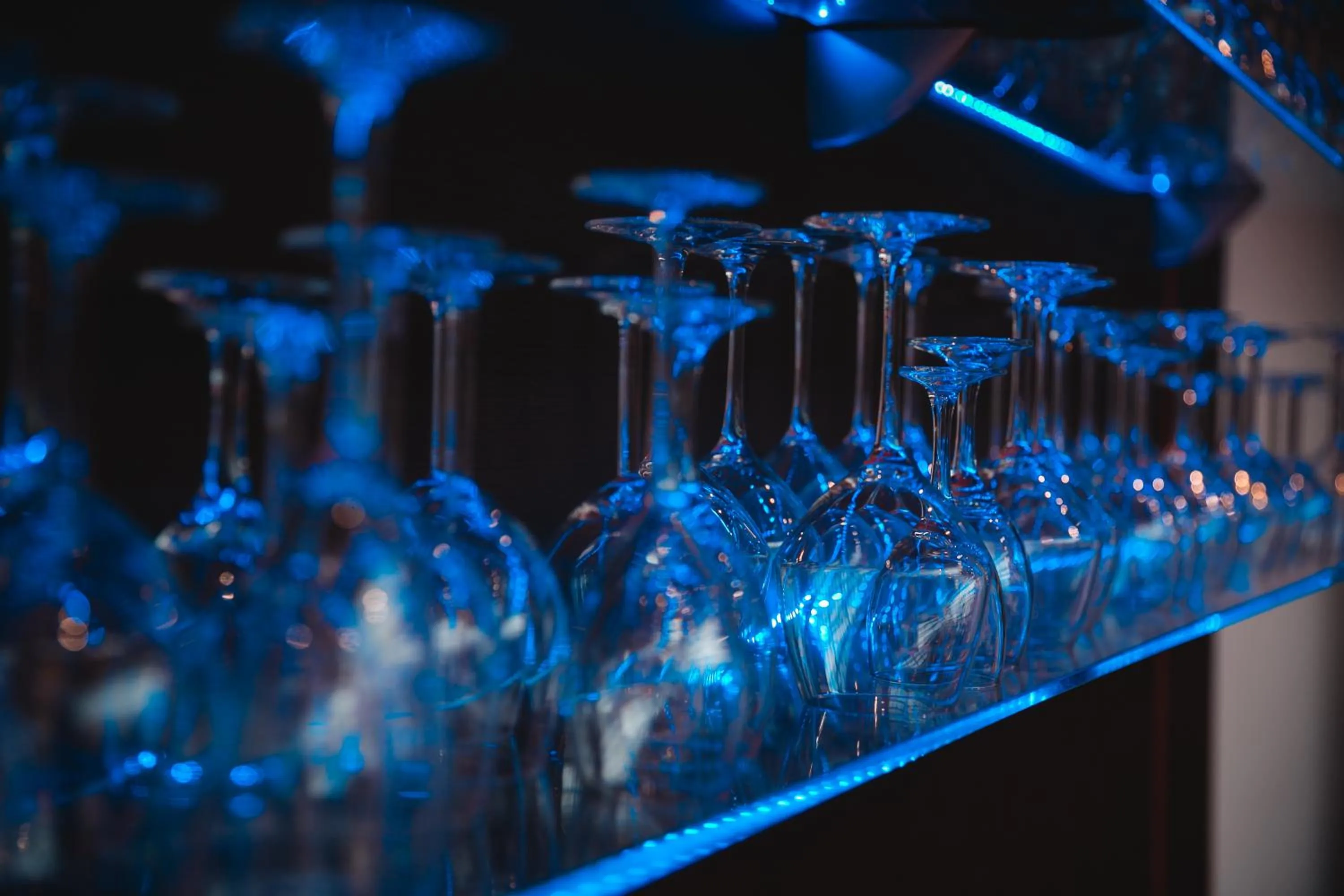 Lounge or bar in Zenia Hotel & Spa