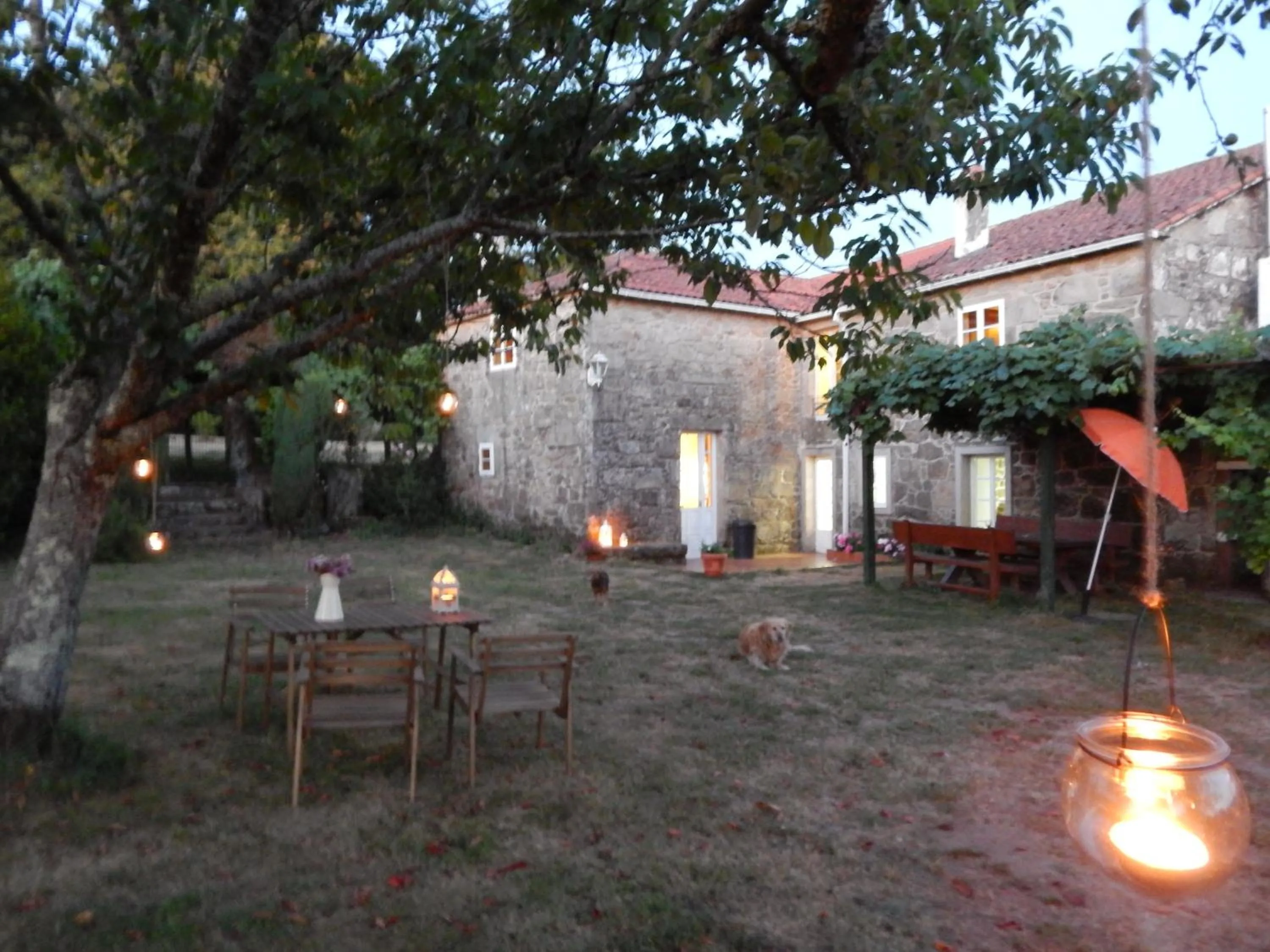 Garden in Pensión - Albergue de Logrosa