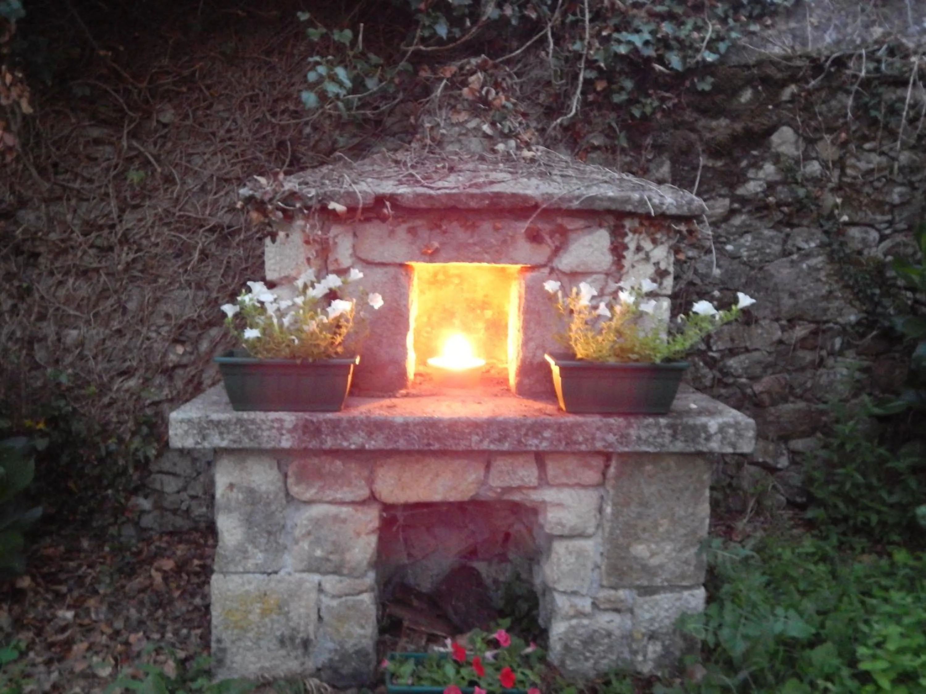 Garden in Pensión - Albergue de Logrosa