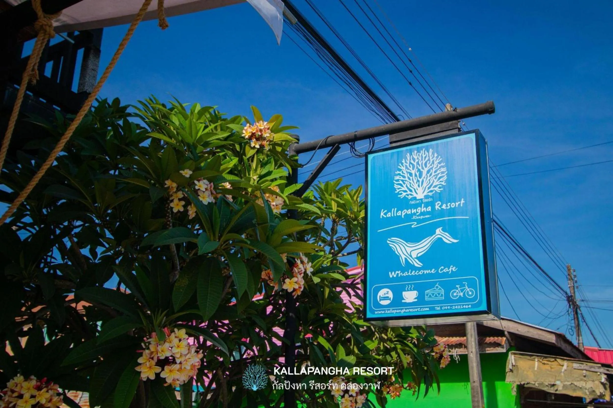 Street view in Kallapangha Resort Khlongwan