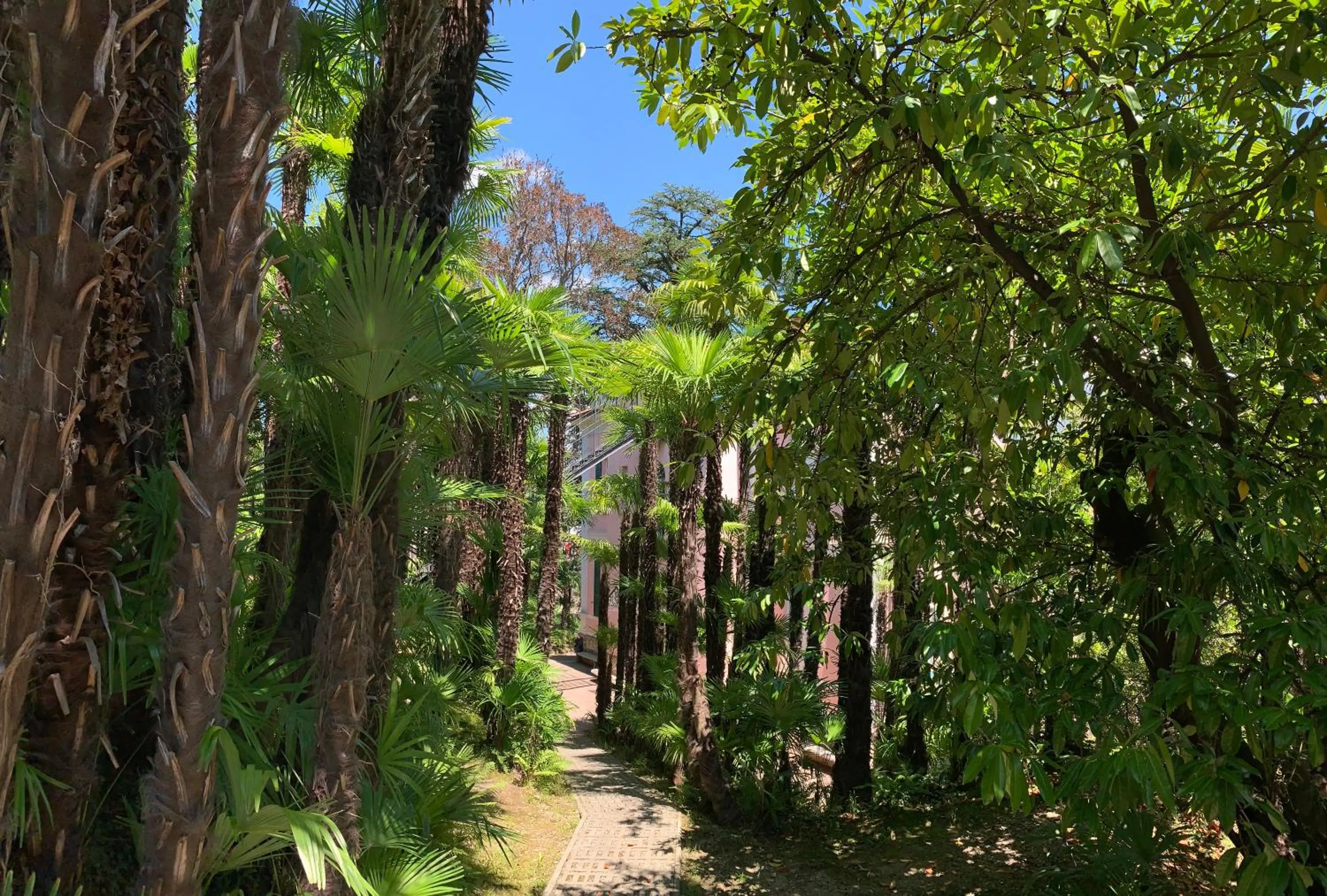 Property building in Hotel&Hostel Montarina