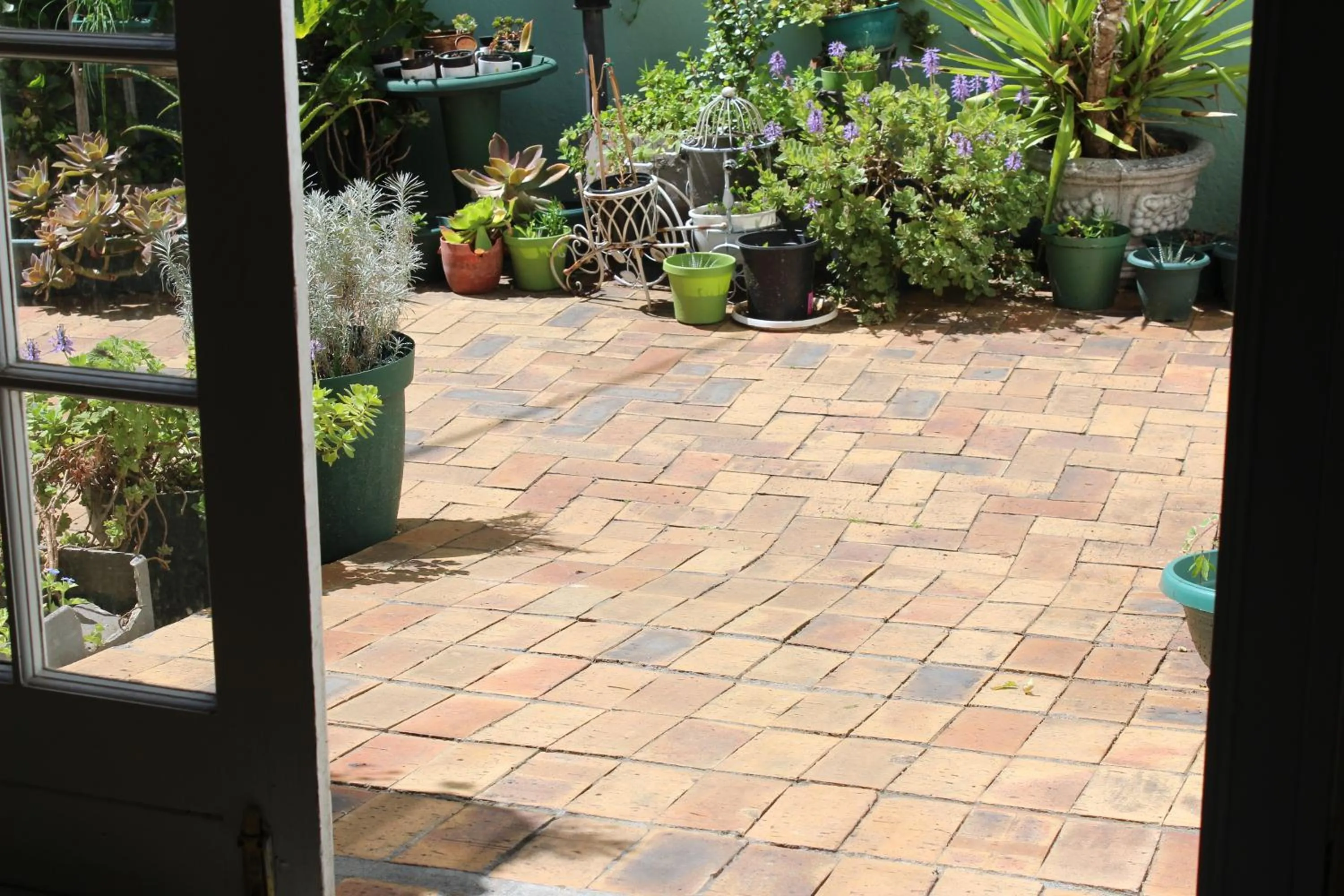 Patio in Mountain Manor Guest House & Executive Suites