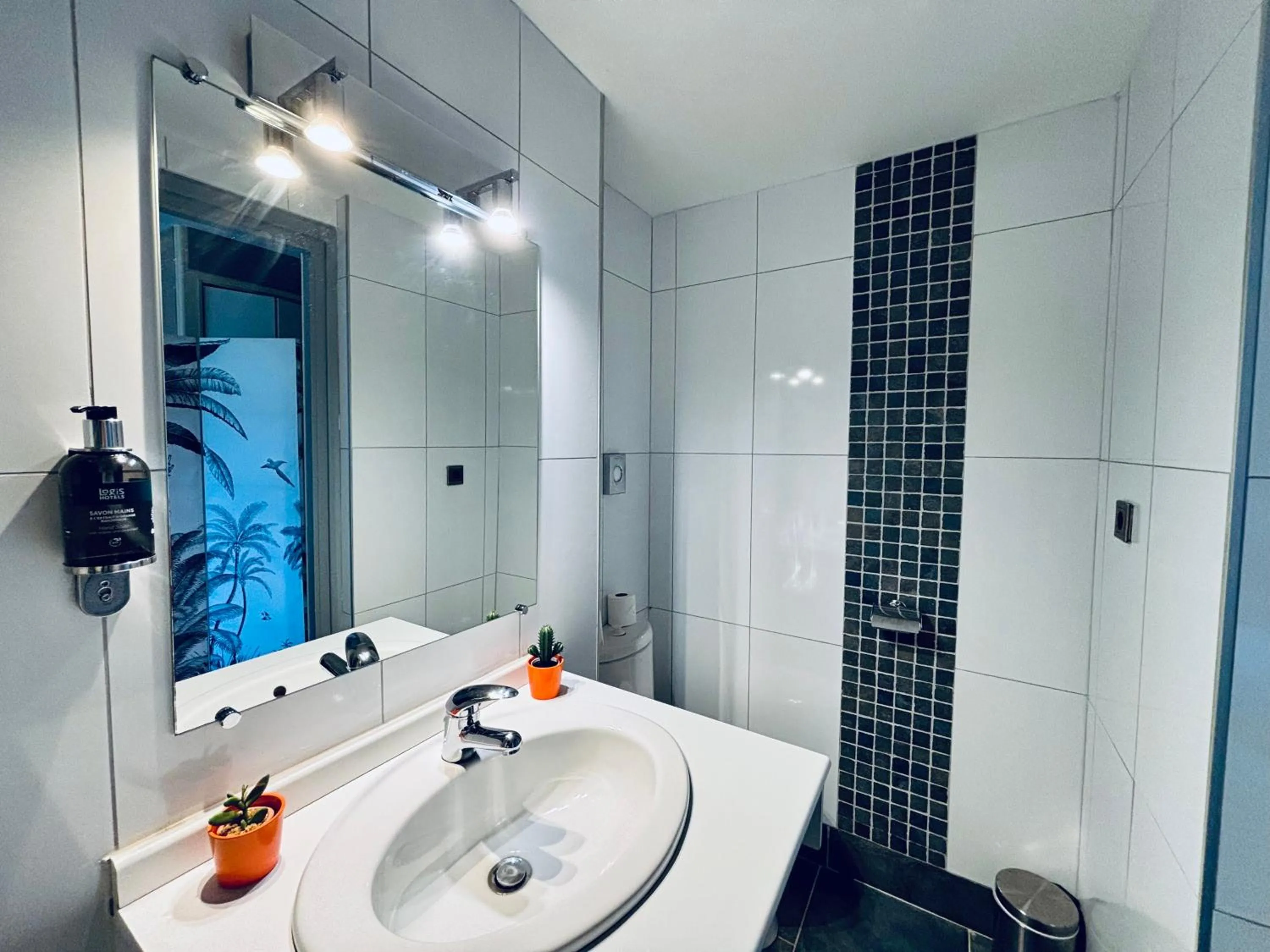 Toilet in Château Corneille