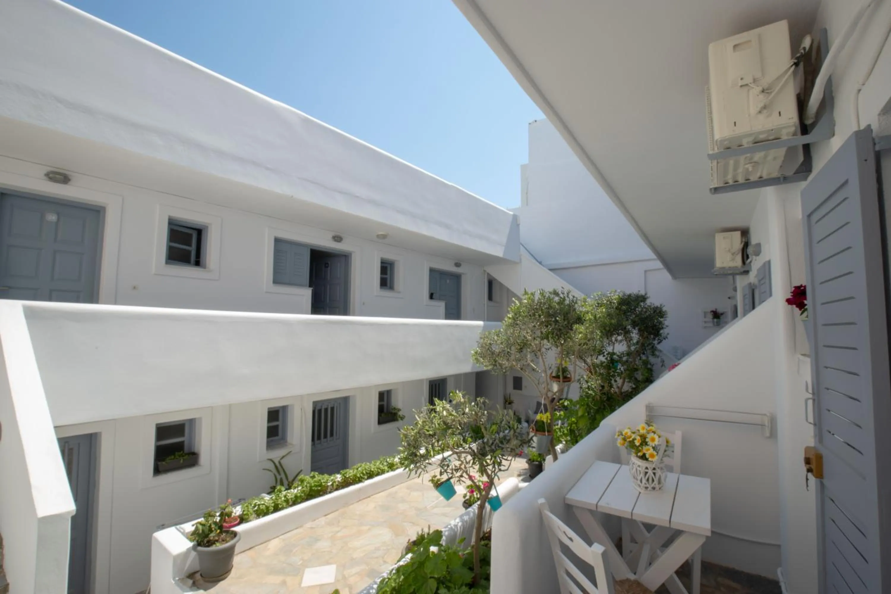 Garden in Zacharakis Studios