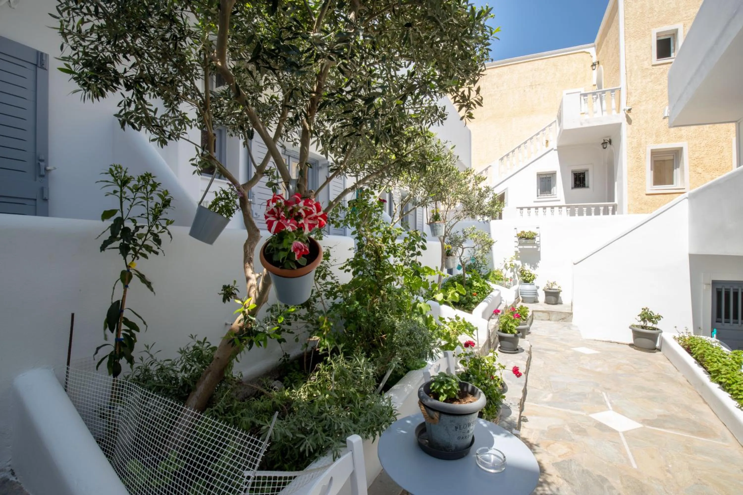 Patio in Zacharakis Studios