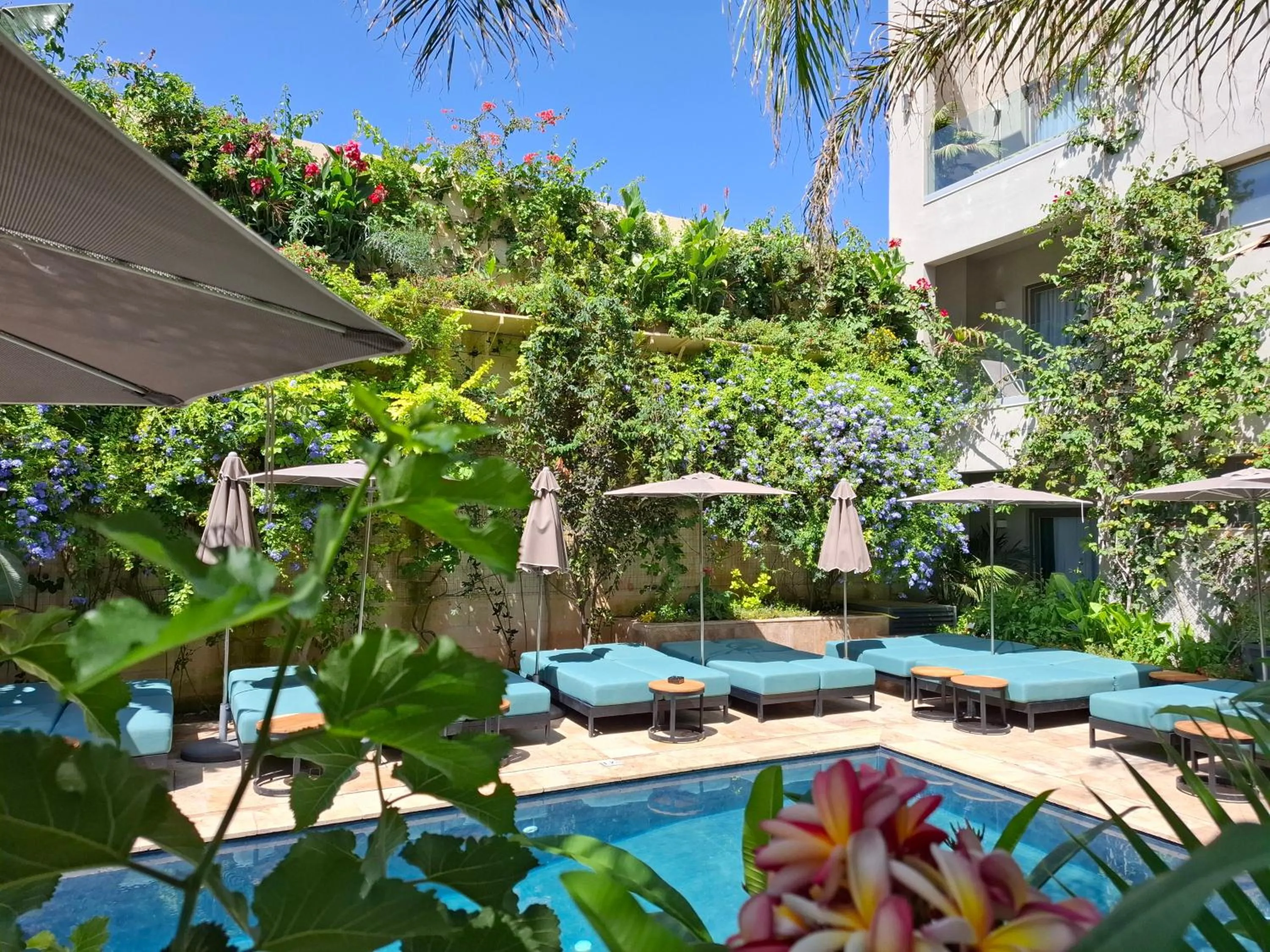 Swimming pool in The Village Boutique and SPA