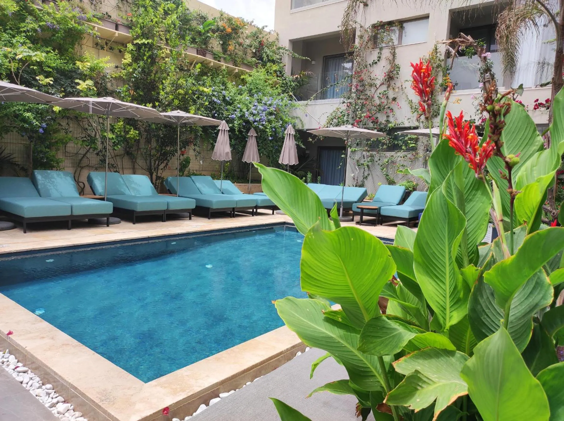 Swimming pool in The Village Boutique and SPA