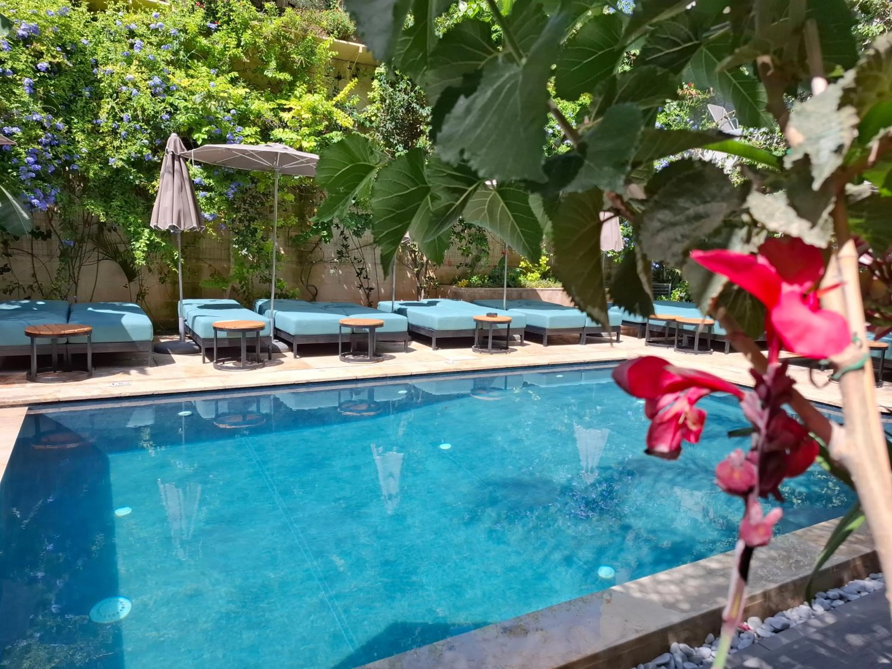 Swimming pool in The Village Boutique and SPA