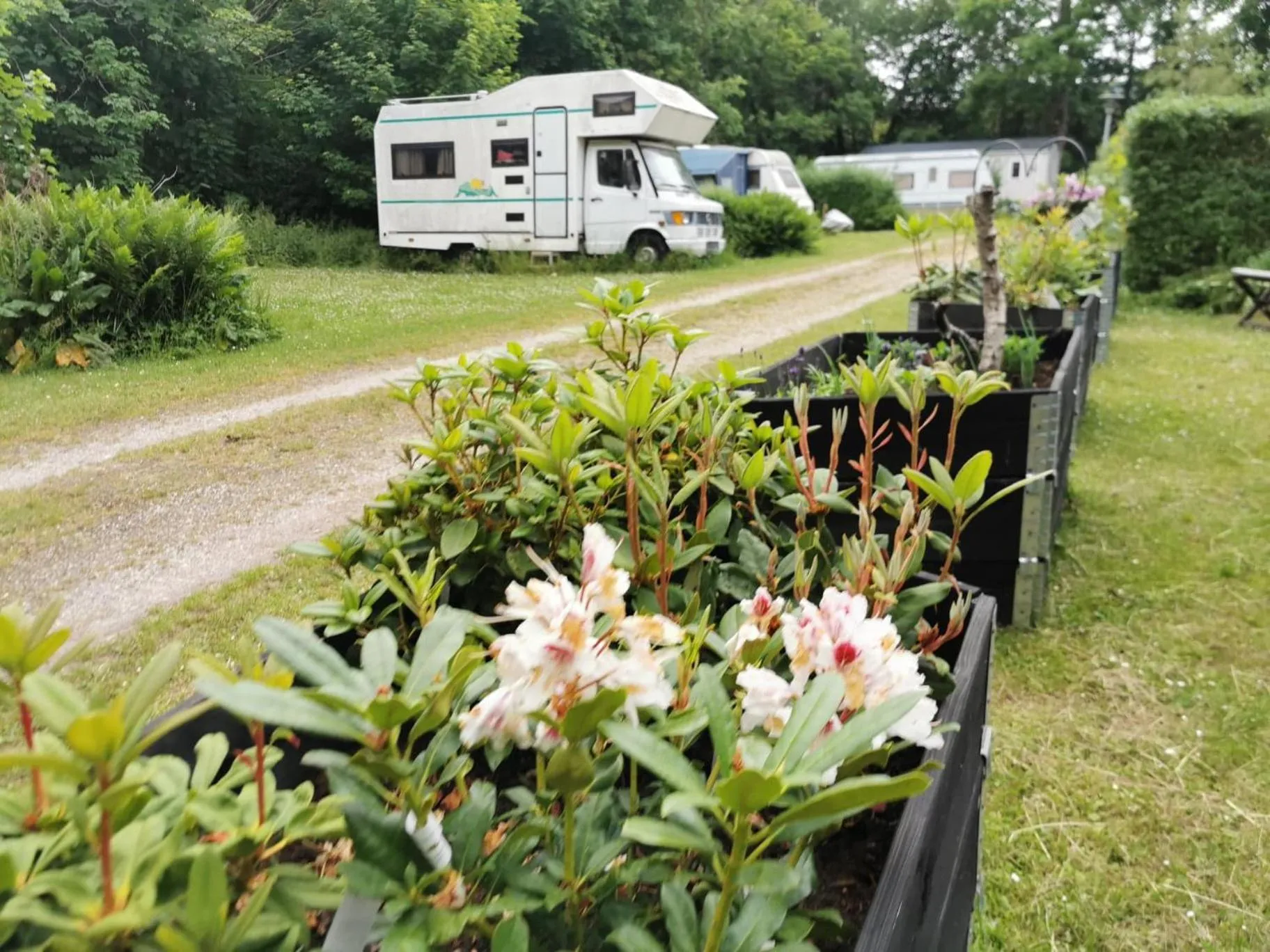 Garden in Frederiksværk Camping & Hostel