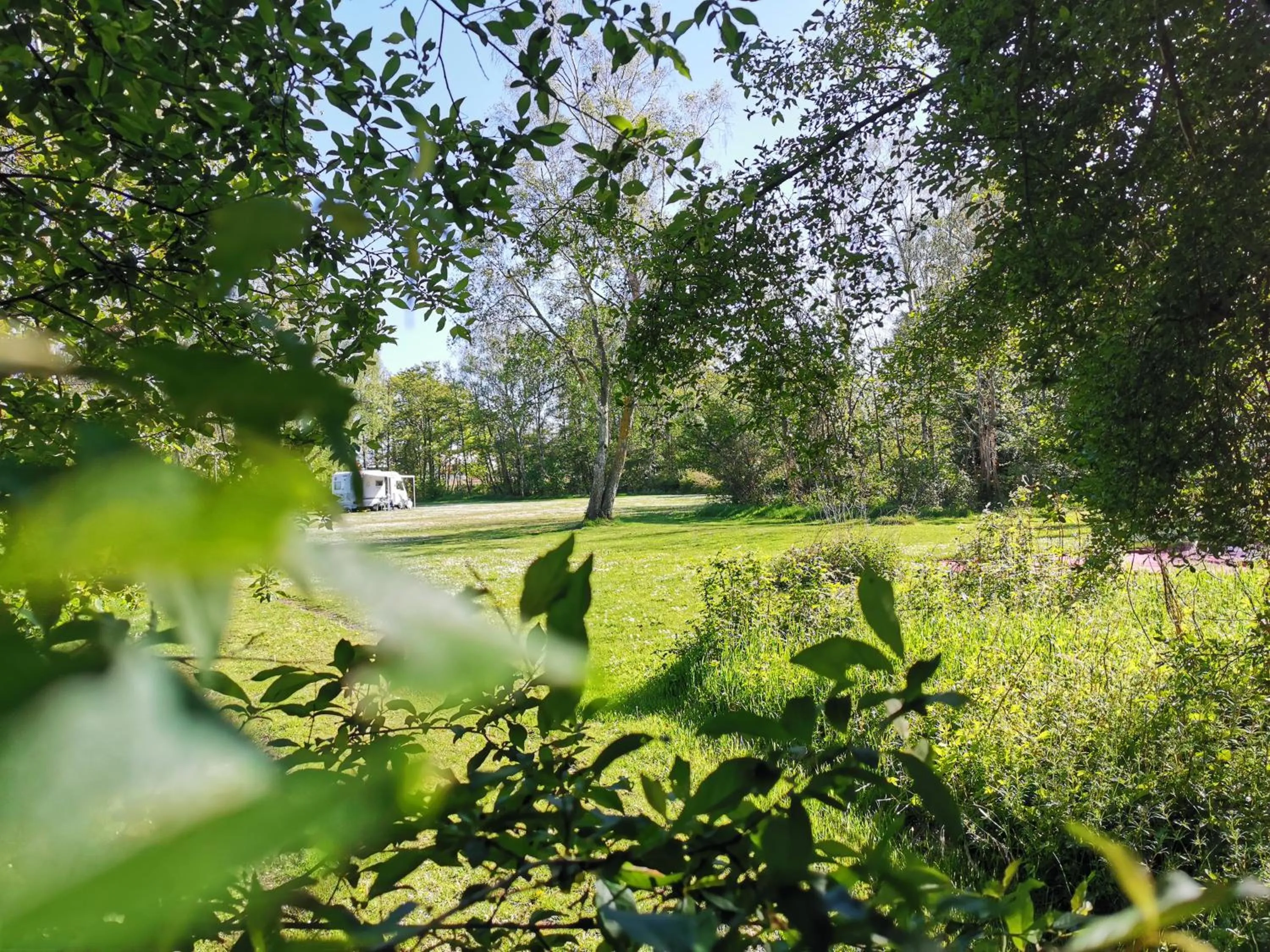 Garden in Frederiksværk Camping & Hostel