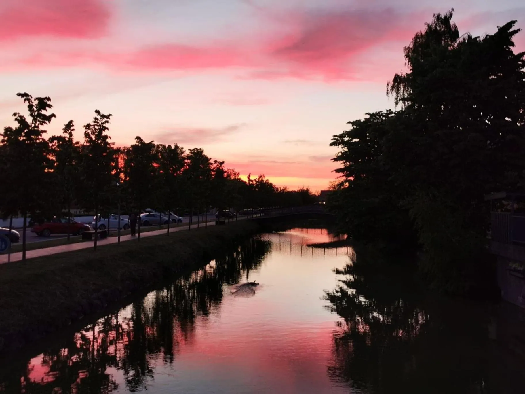 Natural landscape in Frederiksværk Camping & Hostel