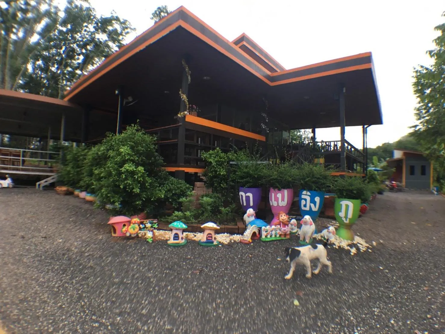 Food and drinks in Rai Eingpu