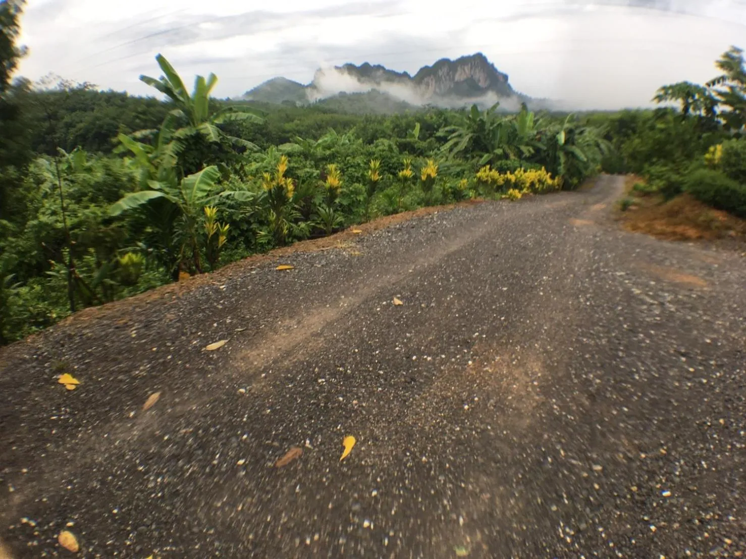 Mountain view in Rai Eingpu