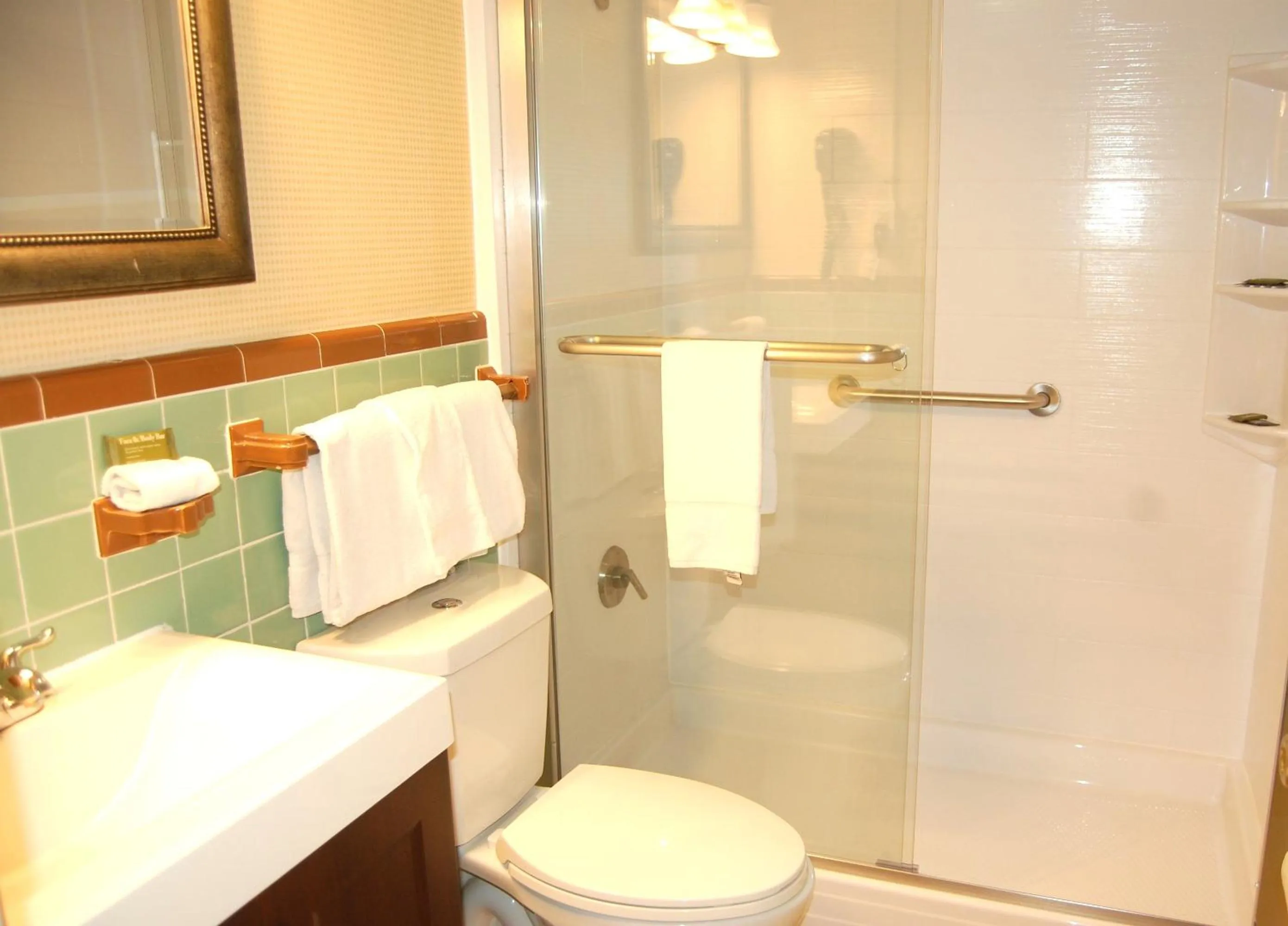 Shower in Vacation Lodge
