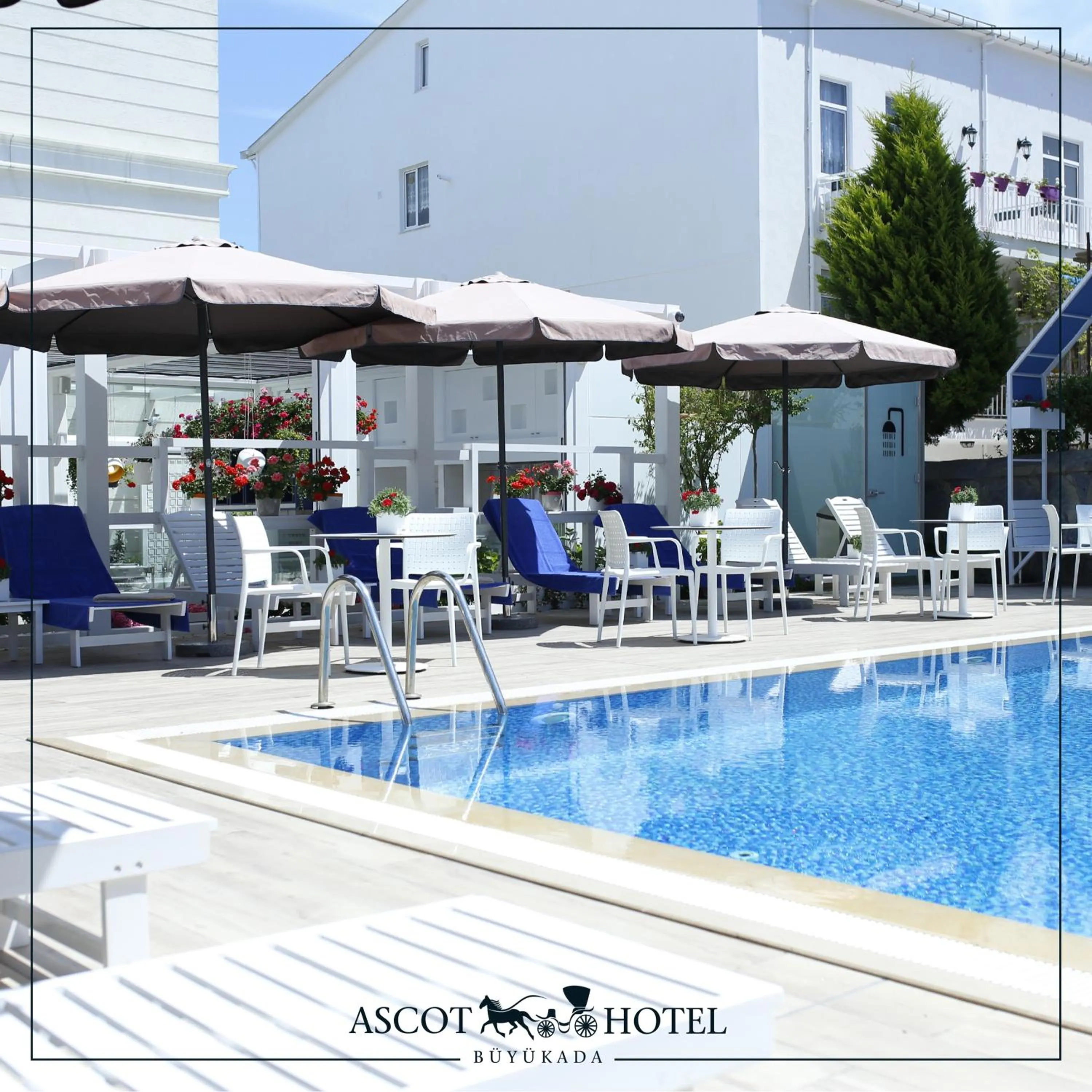 Swimming pool in Ascot Hotel Büyükada