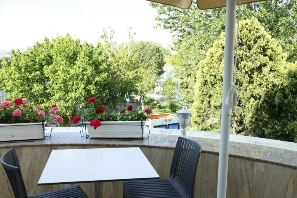 Balcony/Terrace in Ascot Hotel Büyükada