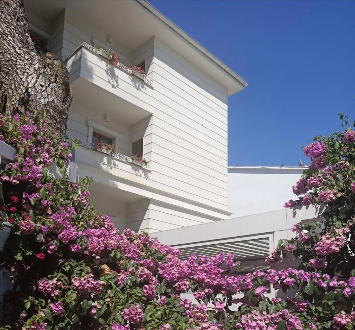 Property building in Ascot Hotel Büyükada