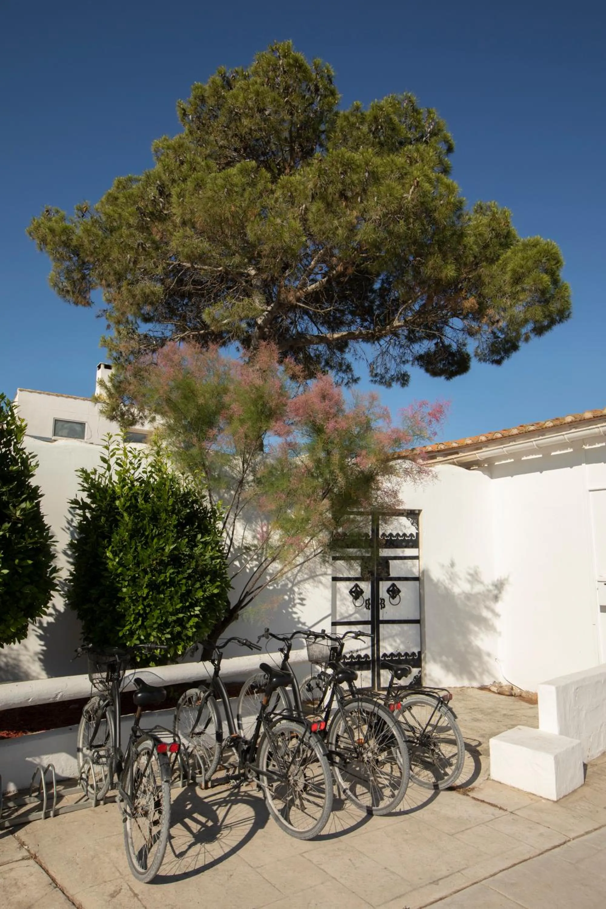 Cycling in Mas de la Fouque - Hôtel & Spa
