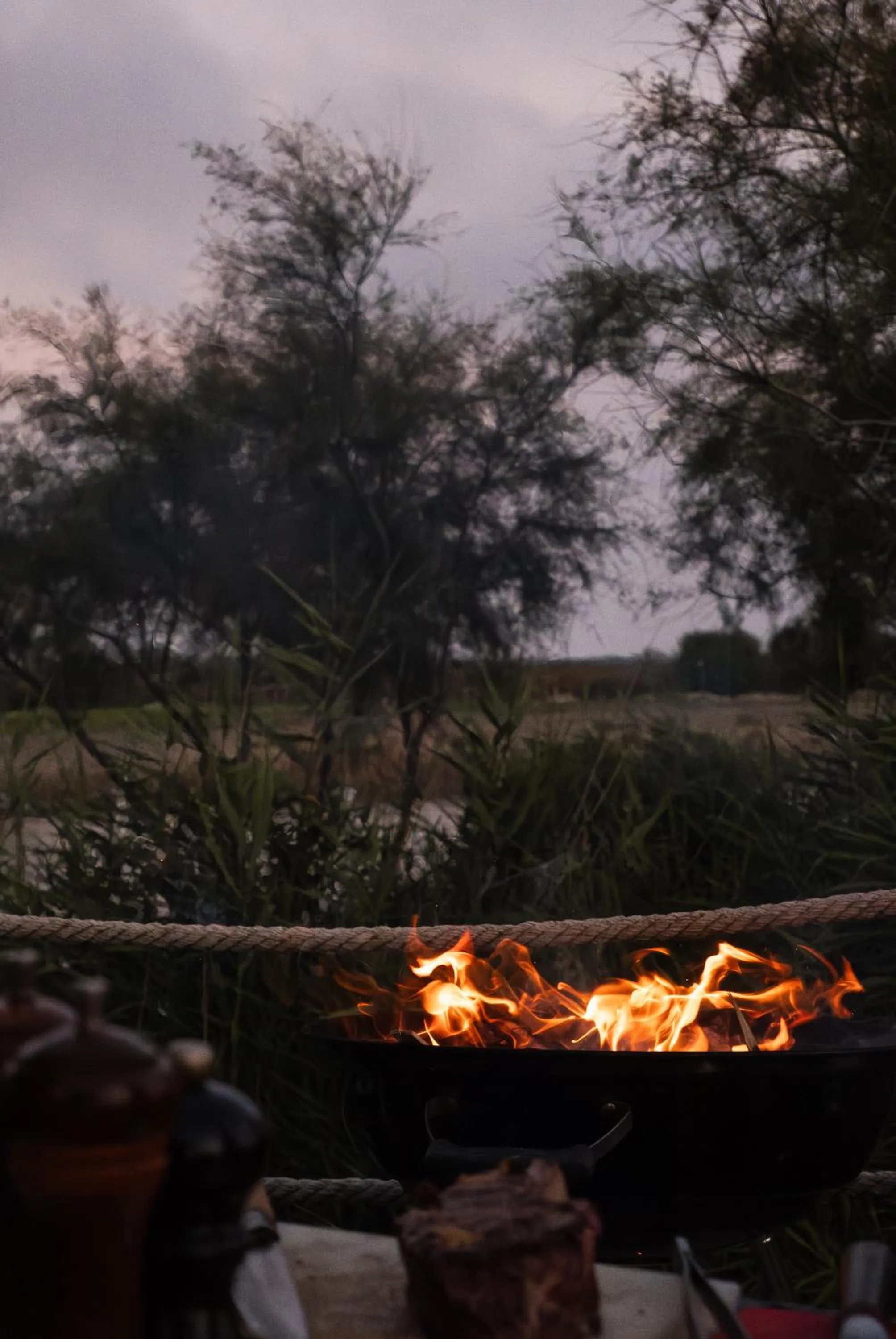 Evening entertainment in Mas de la Fouque - Hôtel & Spa