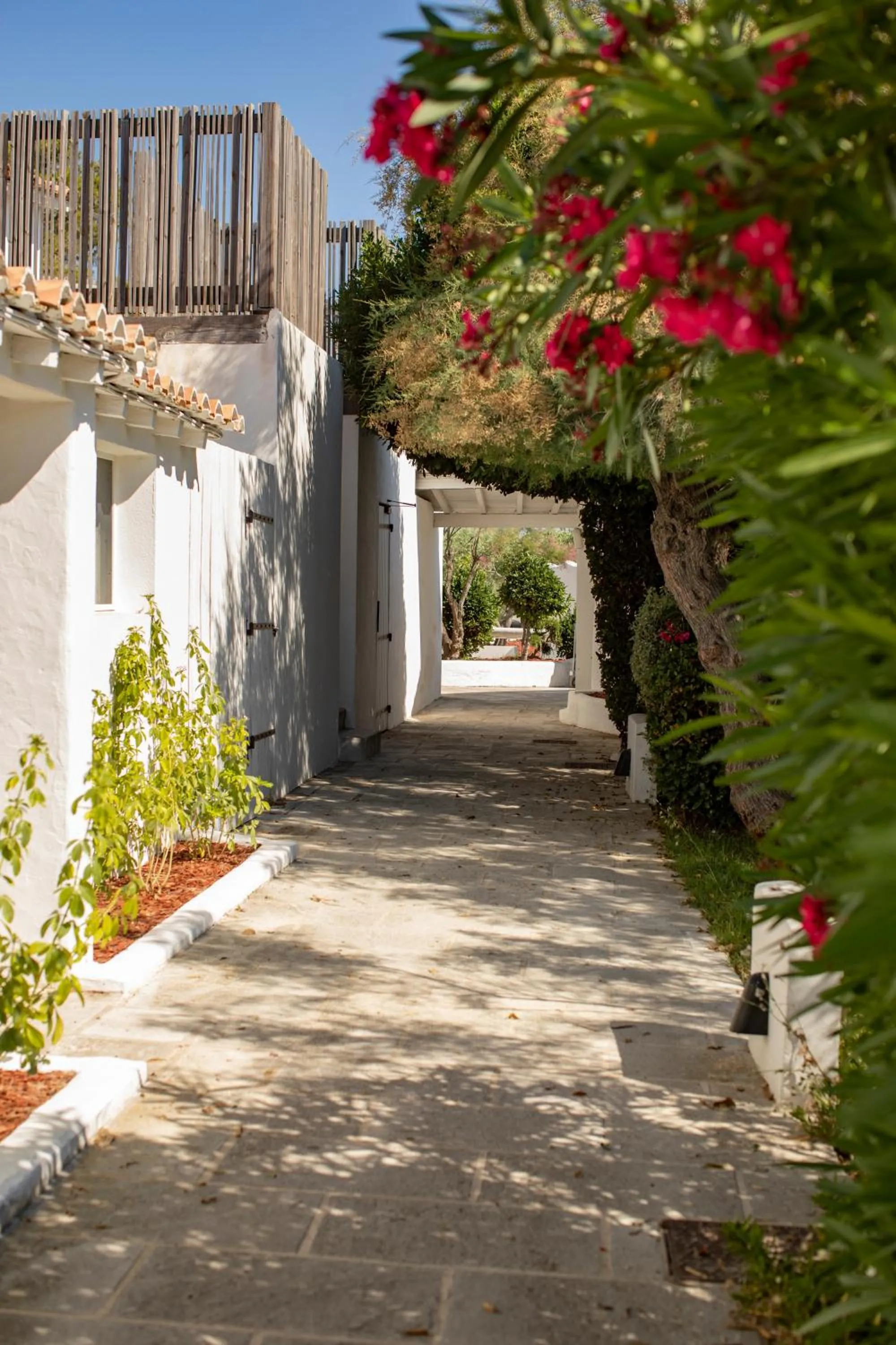 Natural landscape in Mas de la Fouque - Hôtel & Spa