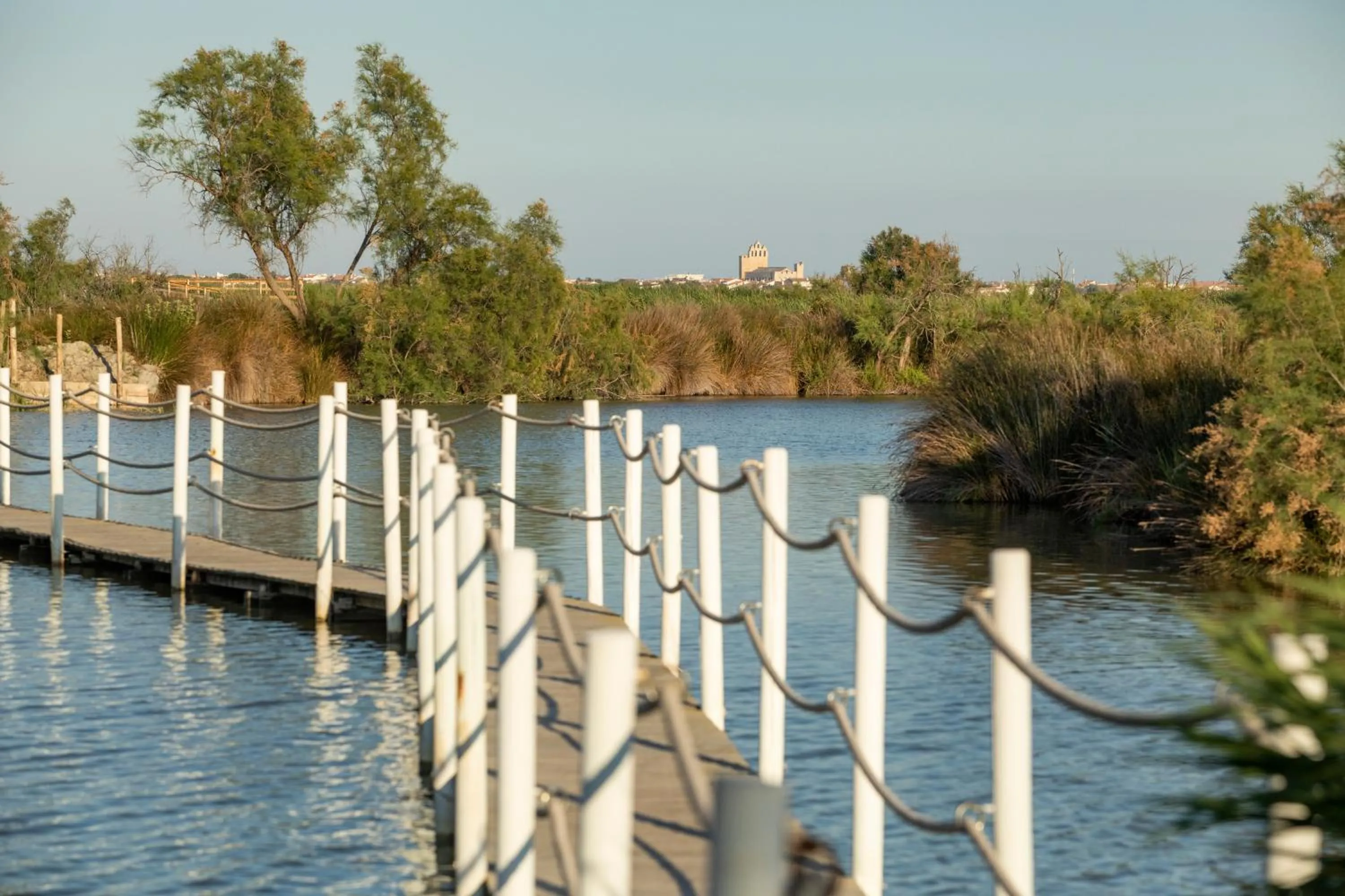 Natural landscape in Mas de la Fouque - Hôtel & Spa