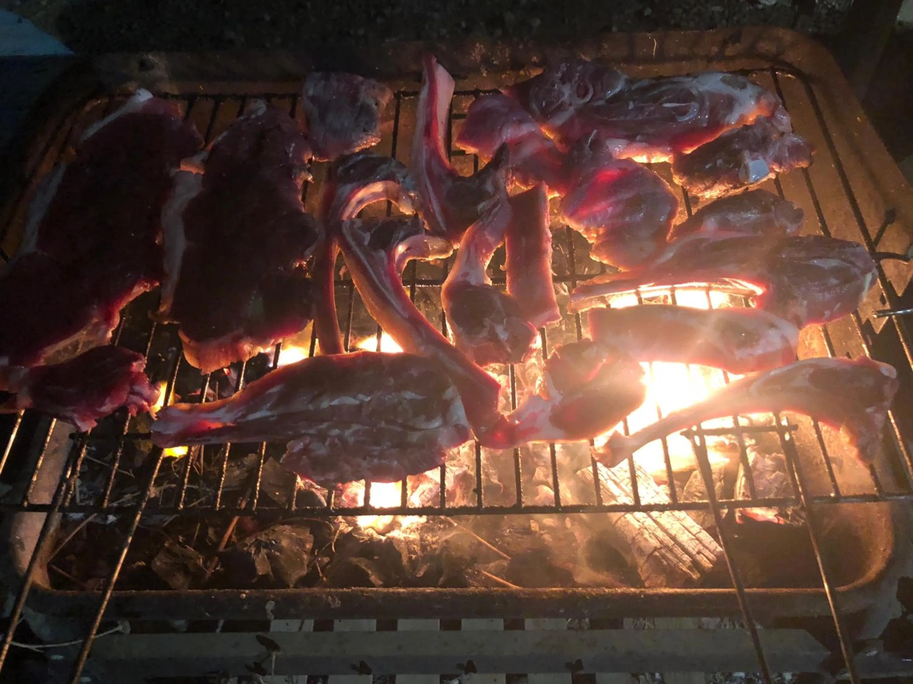 BBQ facilities in Locazione Turistica Il Tucano