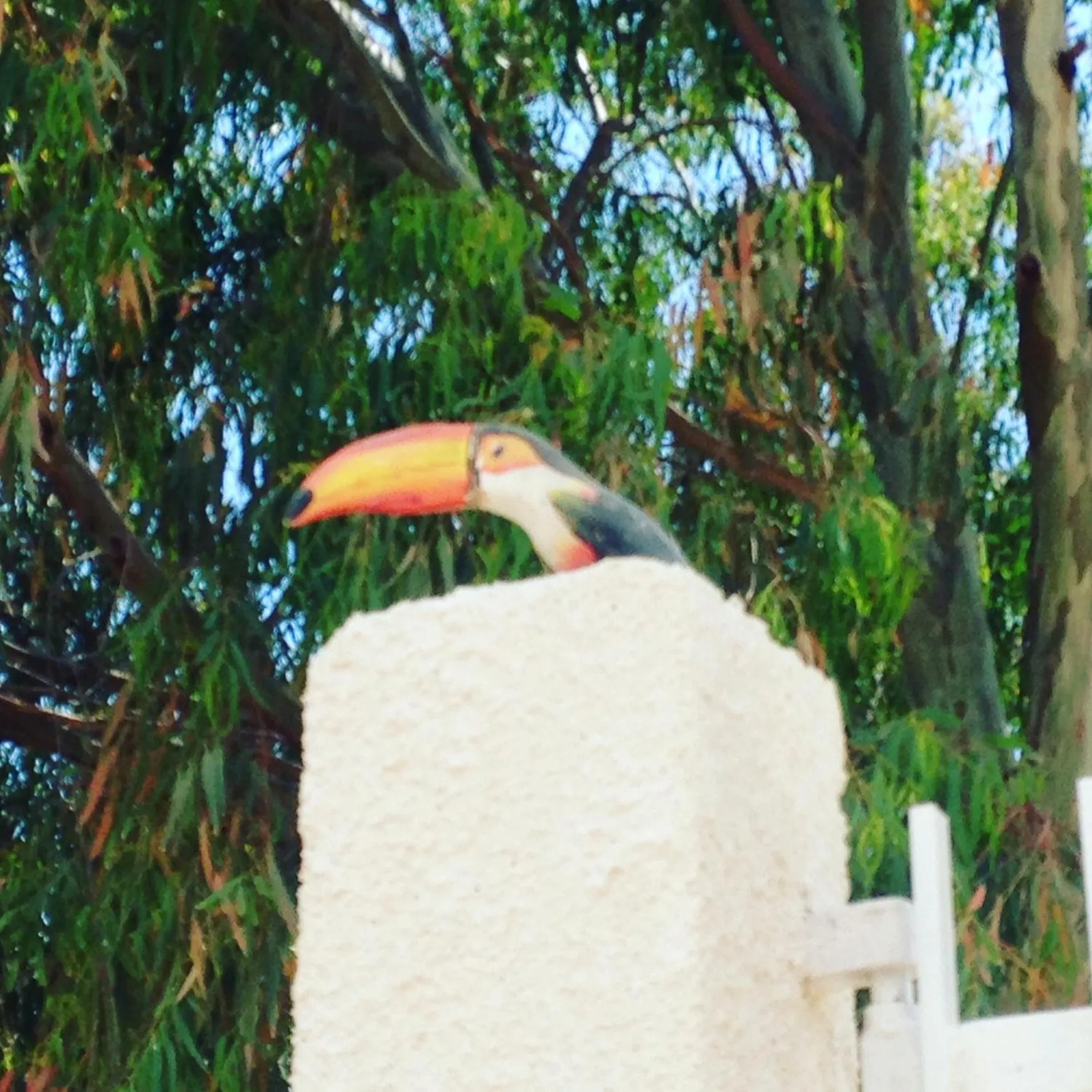 Property logo or sign in Locazione Turistica Il Tucano