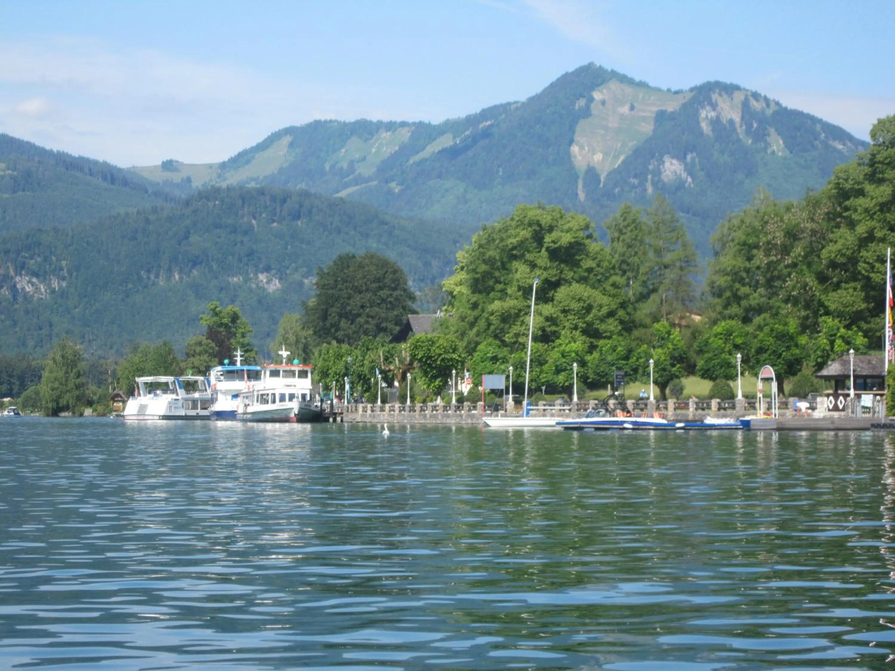Natural landscape in Hotel Seerose Wolfgangsee