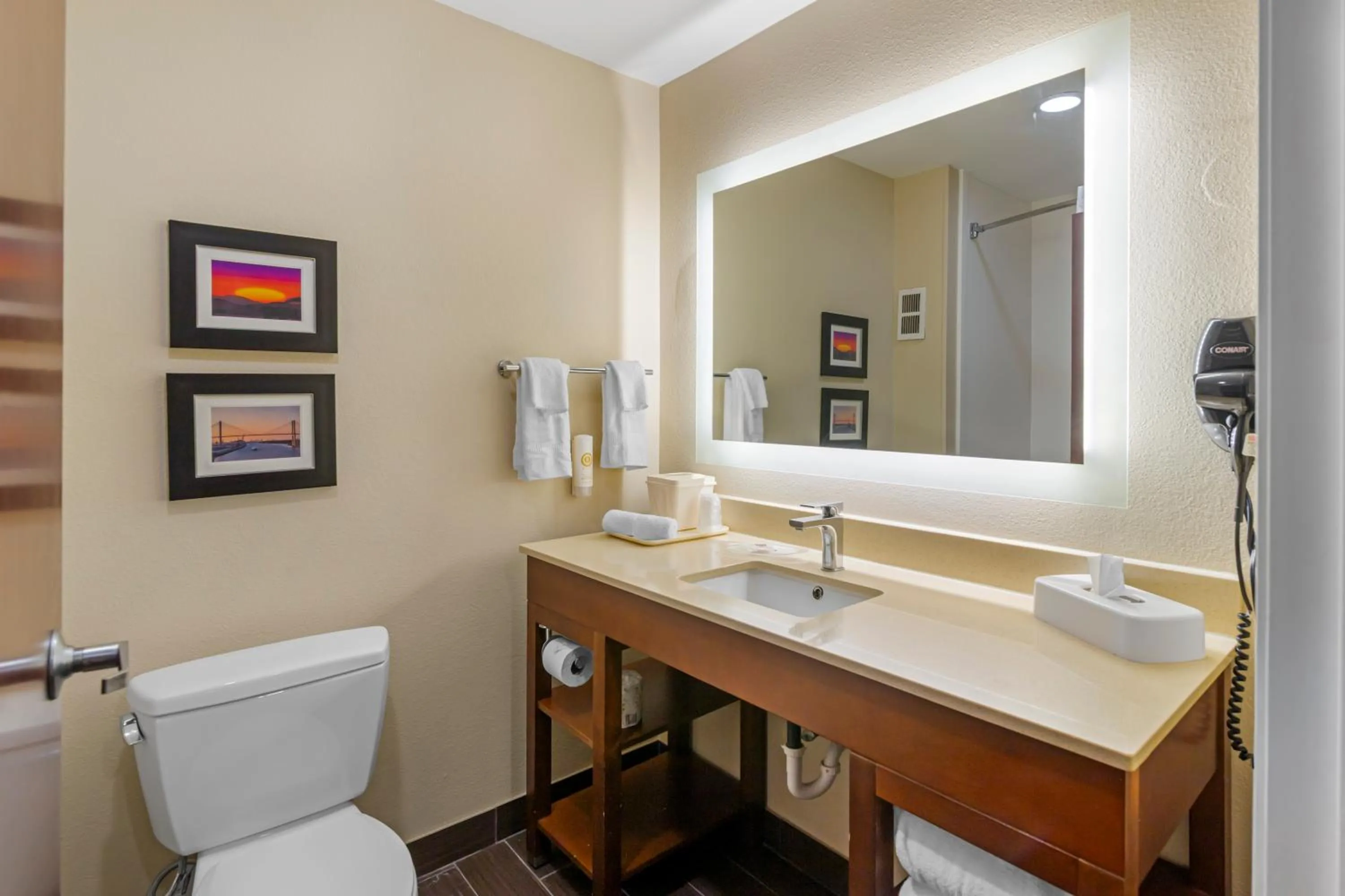 Toilet in Comfort Suites Savannah Gateway I-95