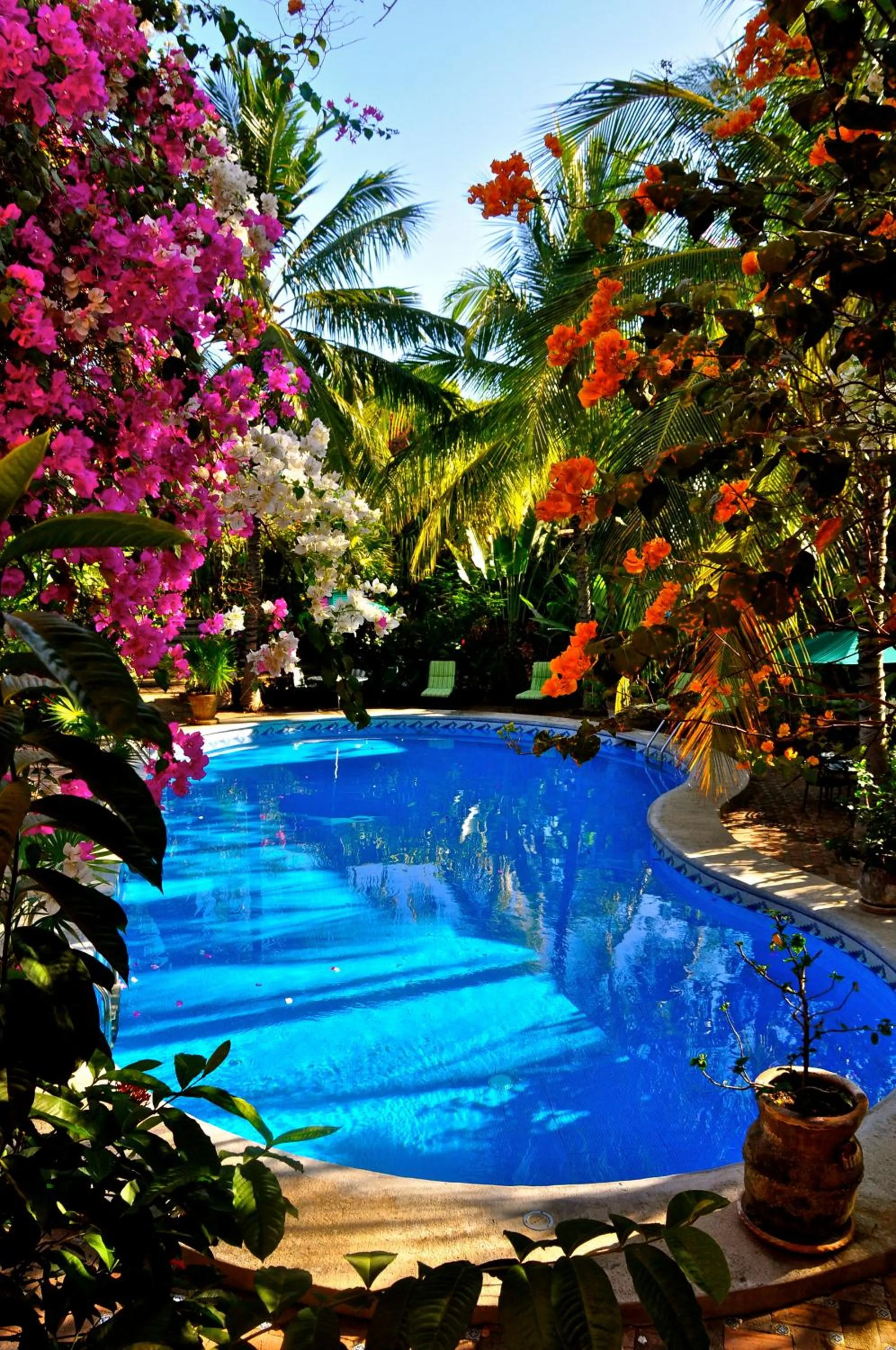 Swimming pool in Suites La Hacienda