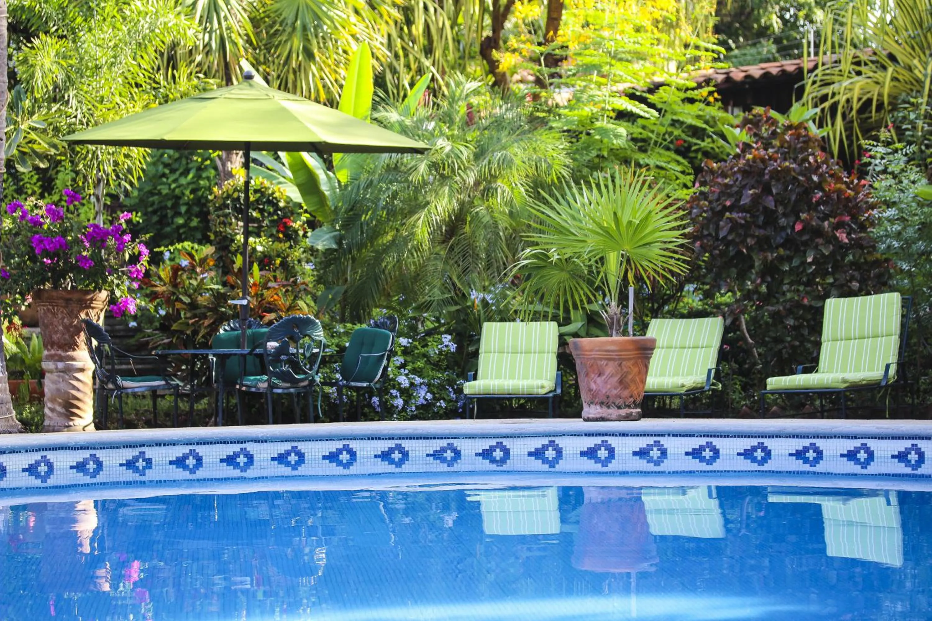 Swimming pool in Suites La Hacienda