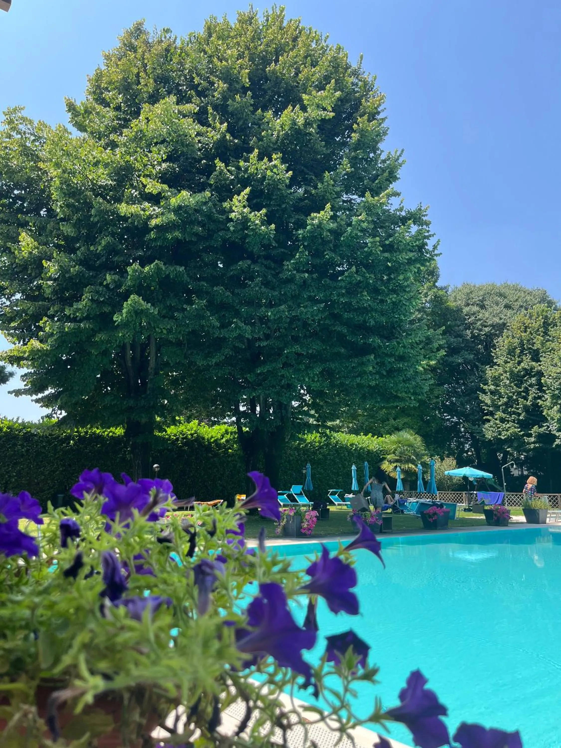 Garden in Hotel Sporting Brugherio