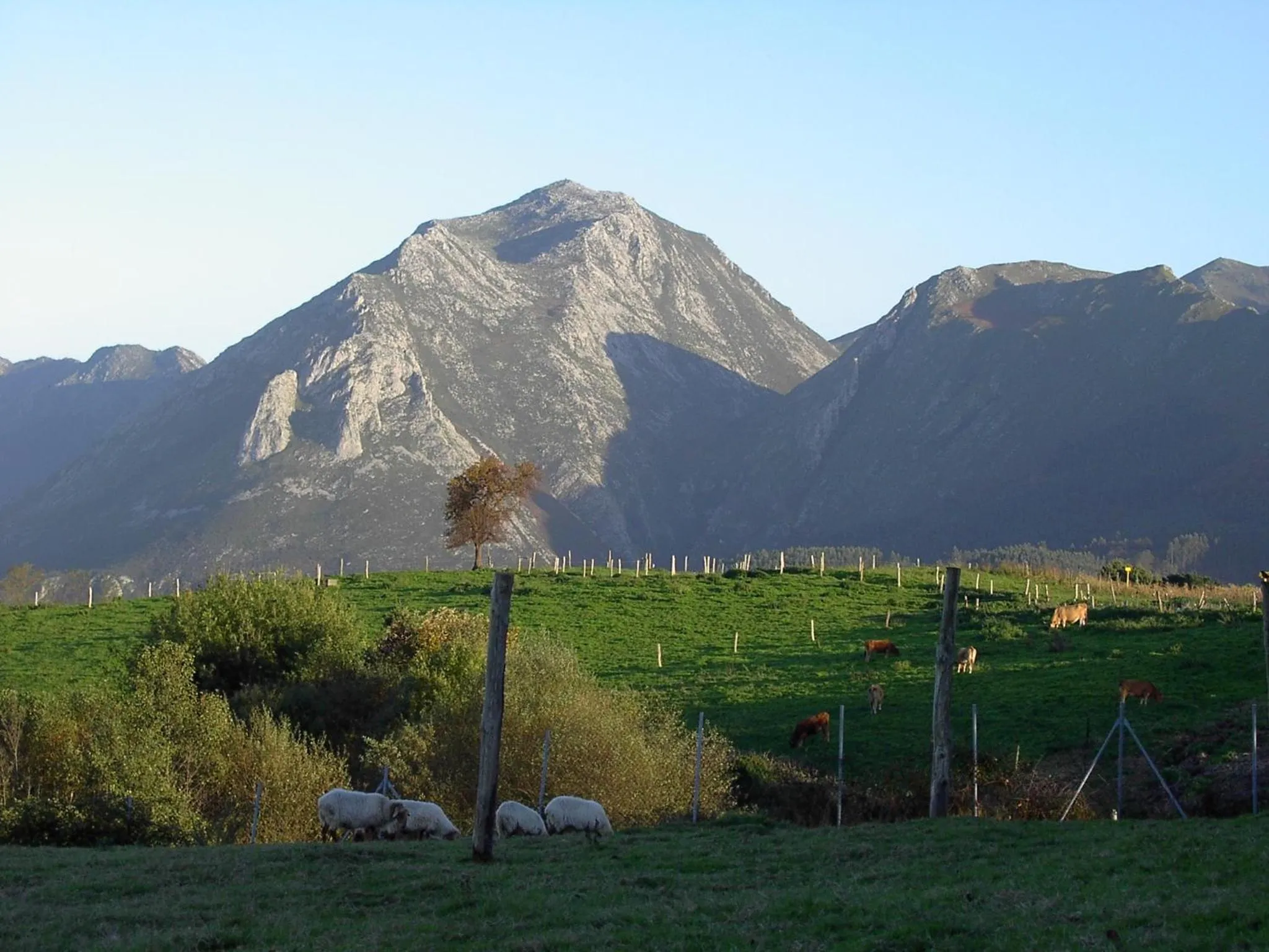 View (from property/room) in Paraje del Asturcon - Adults only