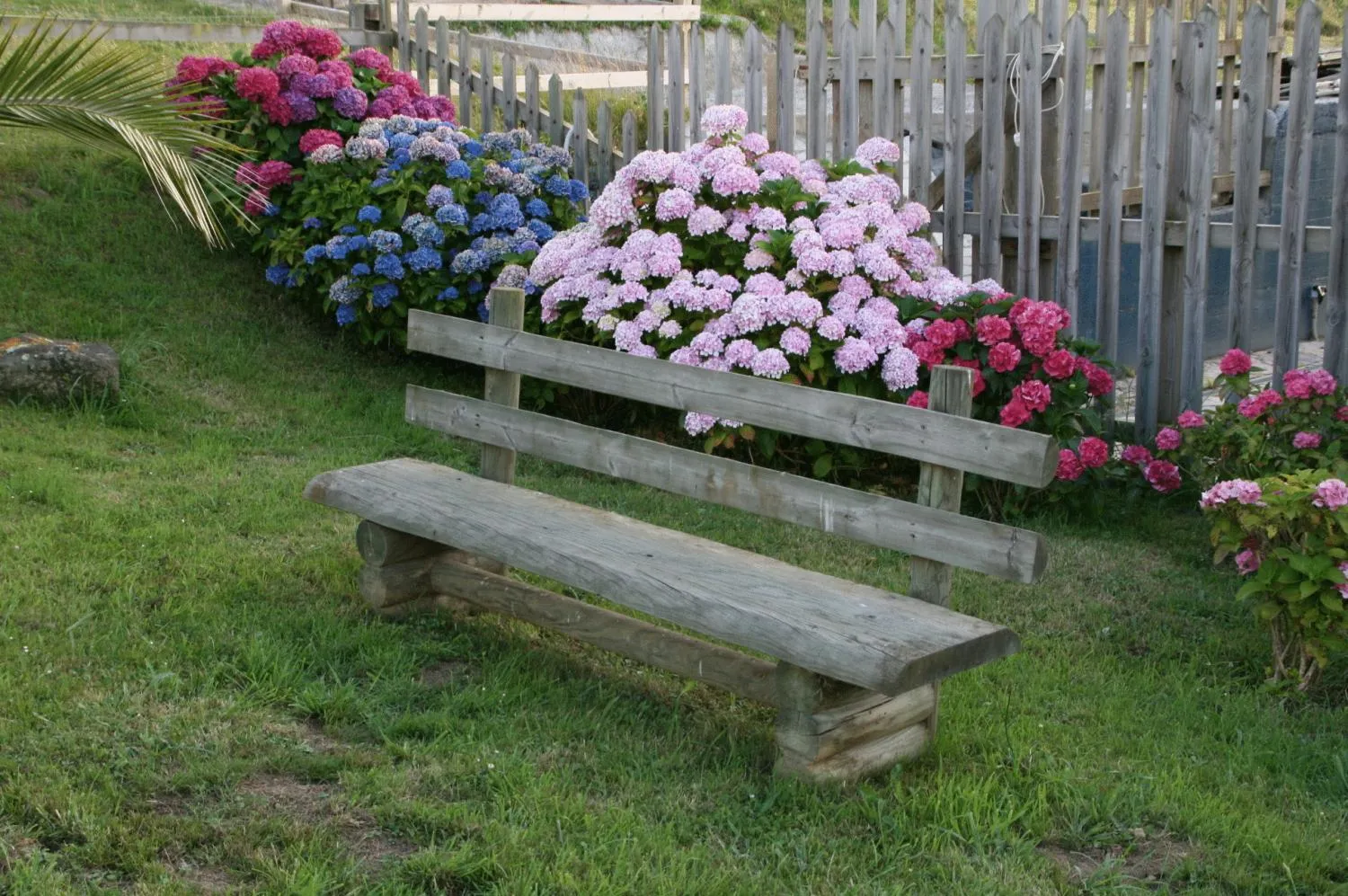 Garden in Paraje del Asturcon - Adults only