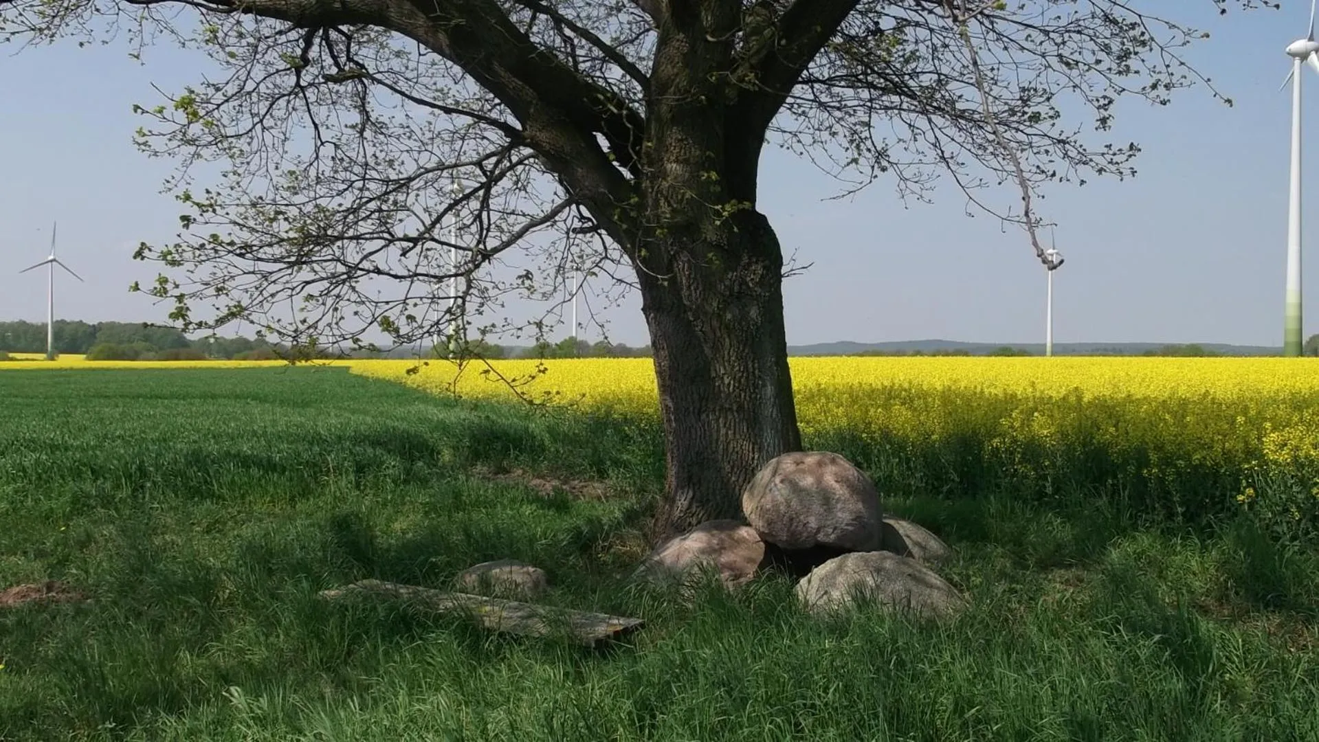 Hiking in Nigel Restaurant & Hotel im Wendland