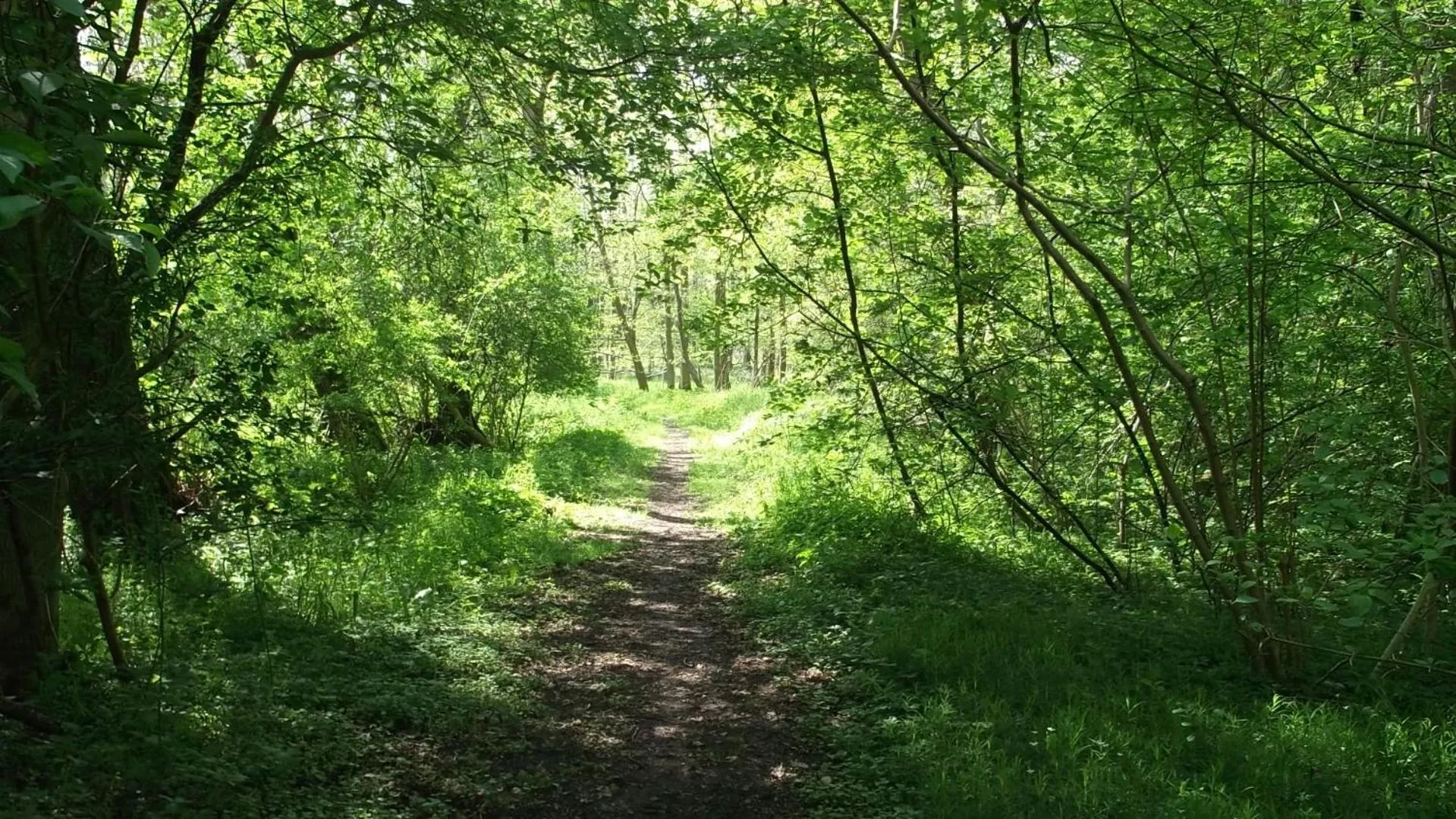 Hiking in Nigel Restaurant & Hotel im Wendland