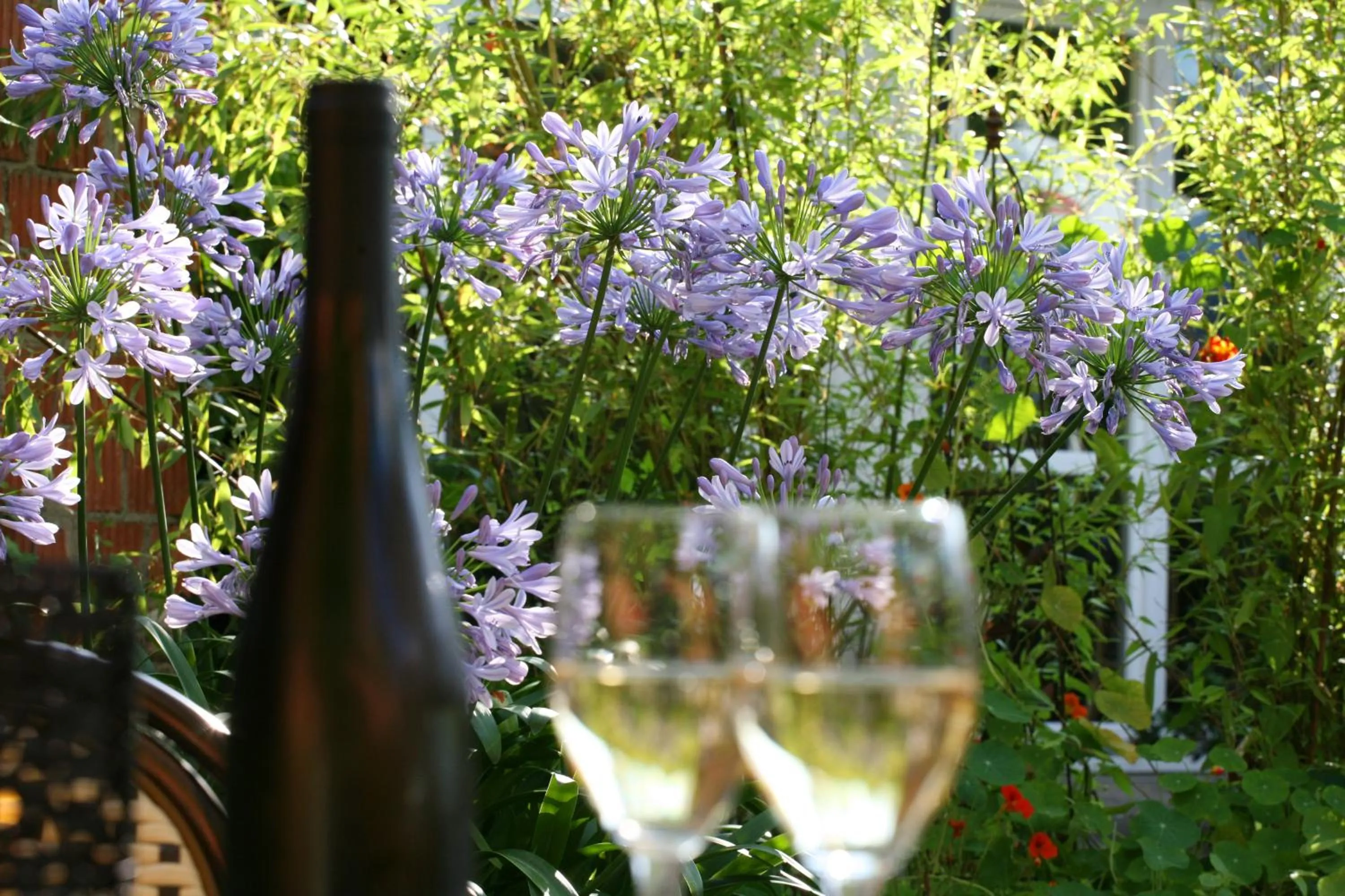 Food and drinks in Nigel Restaurant & Hotel im Wendland