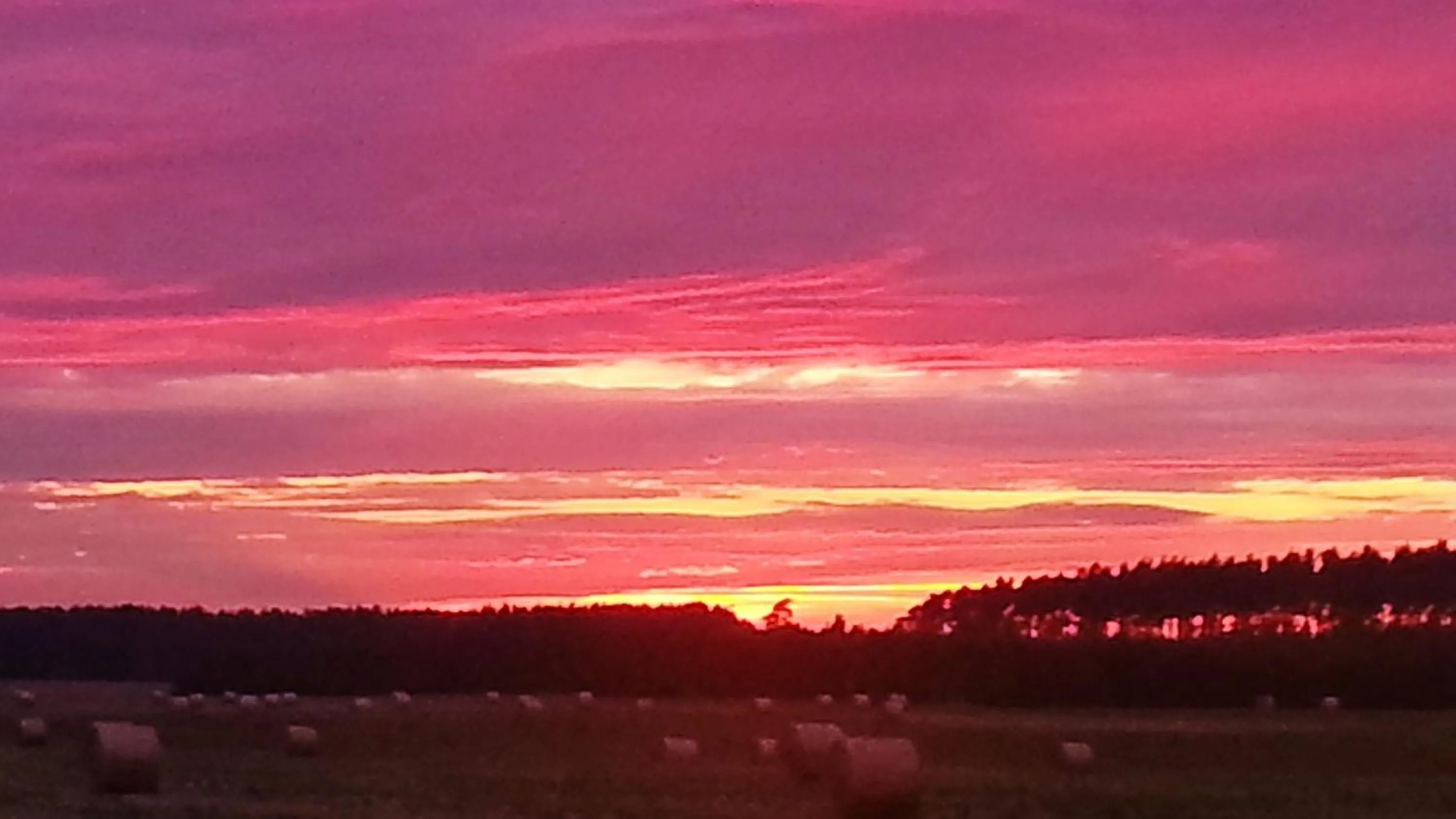 Activities in Nigel Restaurant & Hotel im Wendland