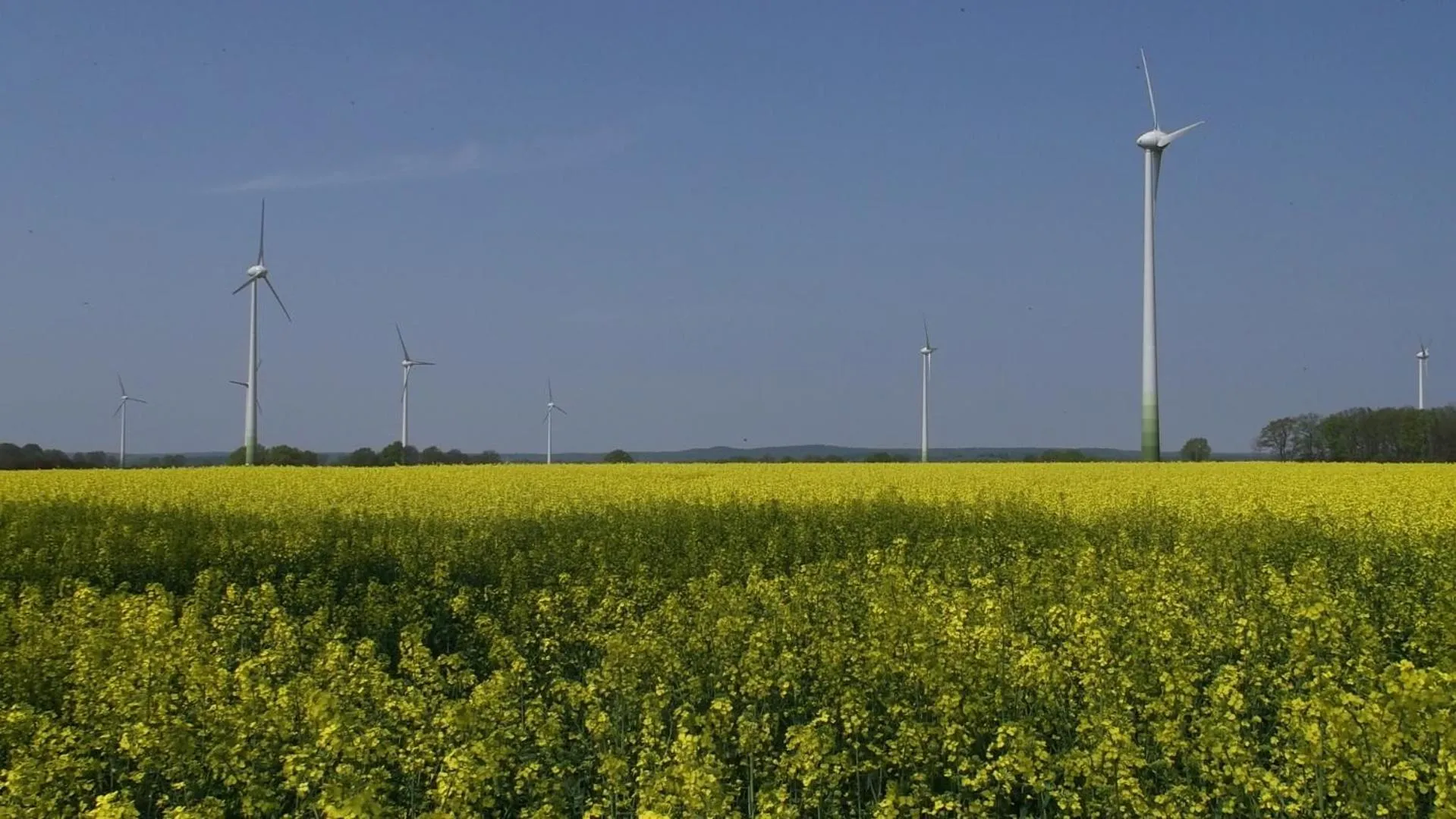 Hiking in Nigel Restaurant & Hotel im Wendland