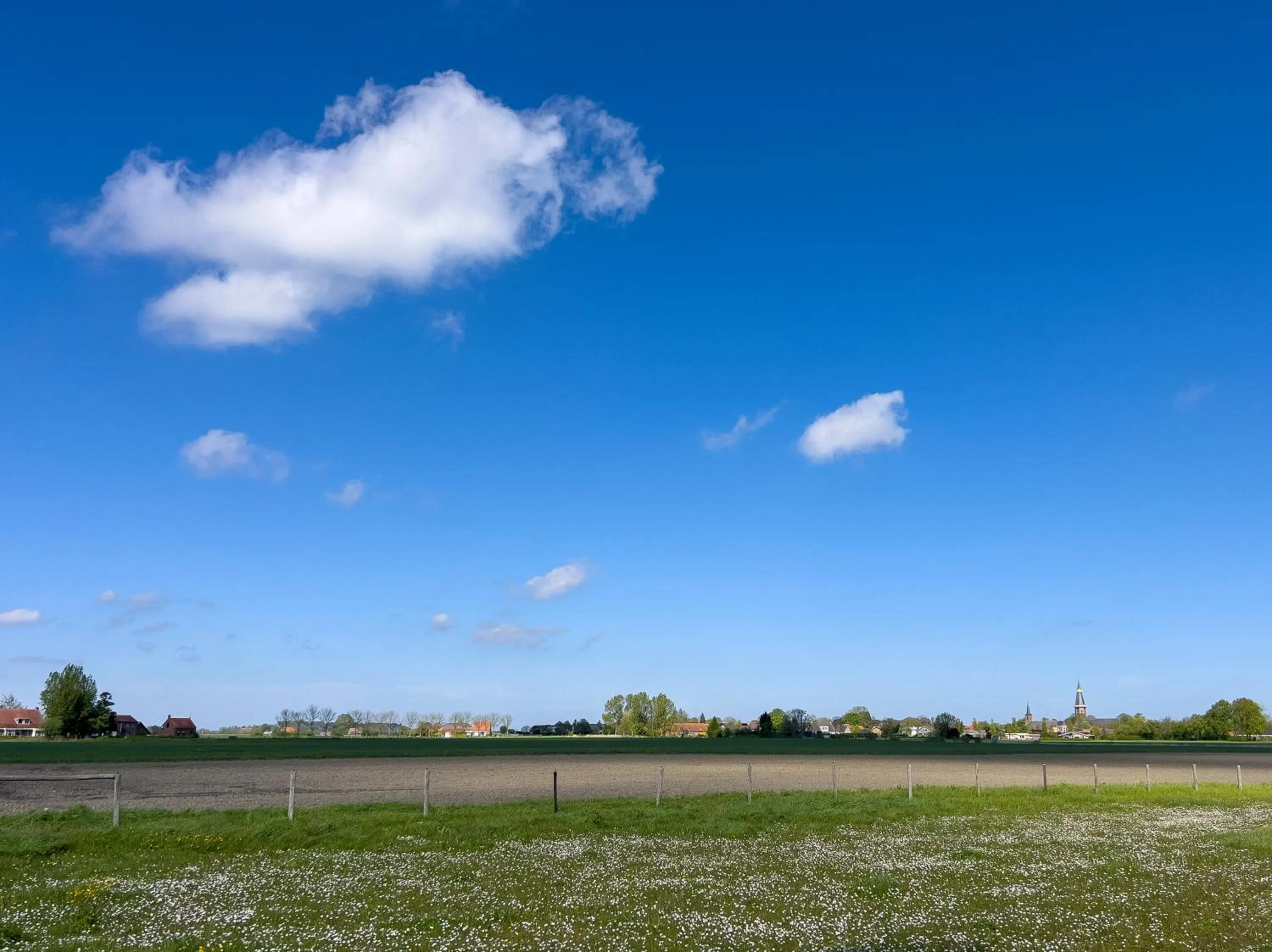 View (from property/room) in Het Zoete Pèèrd