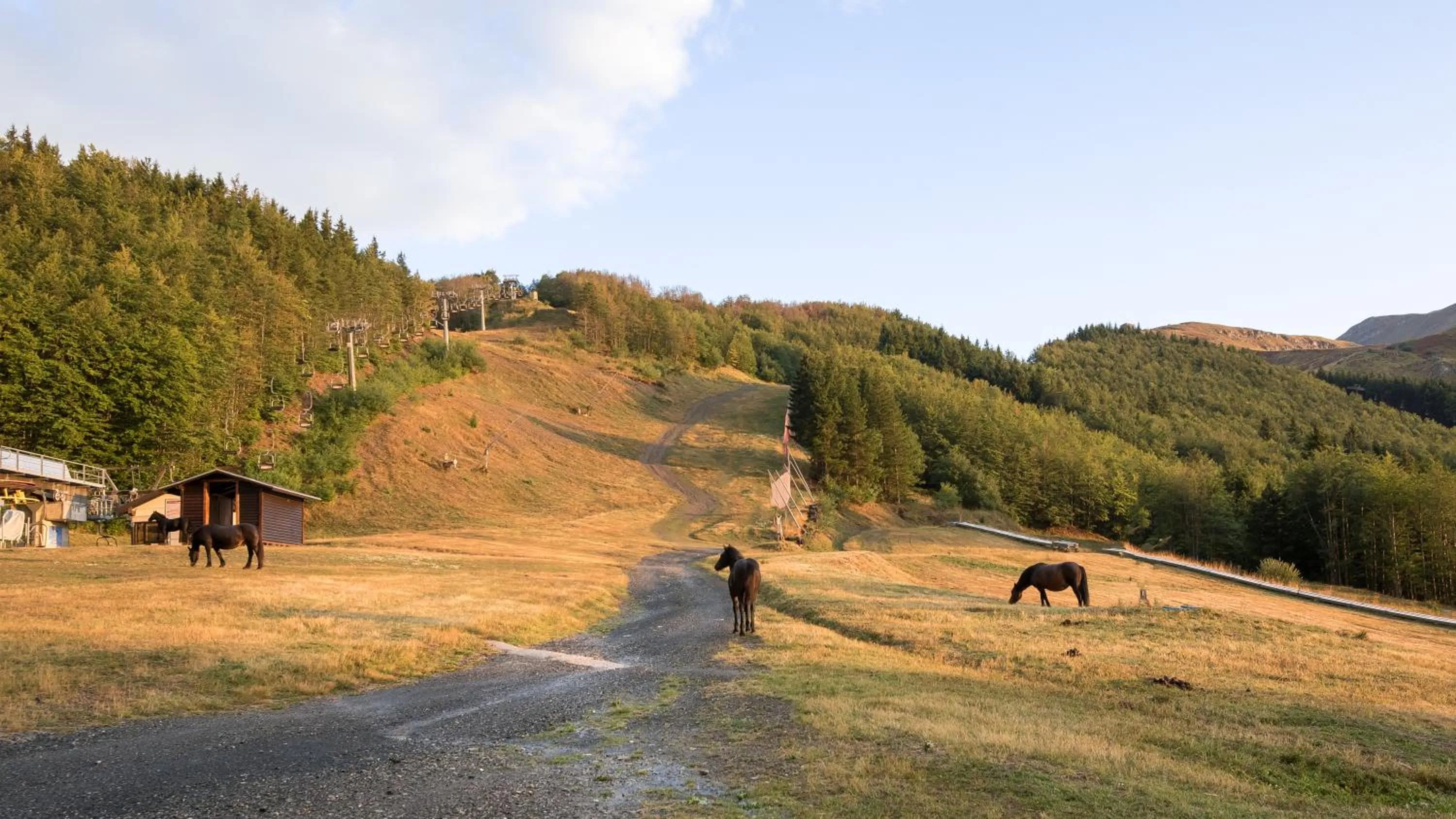 Day in Hotel San Marco Sestola