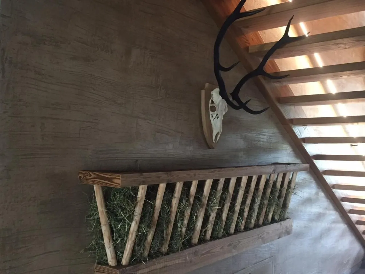 Spa and wellness centre/facilities in Hotel Streklhof